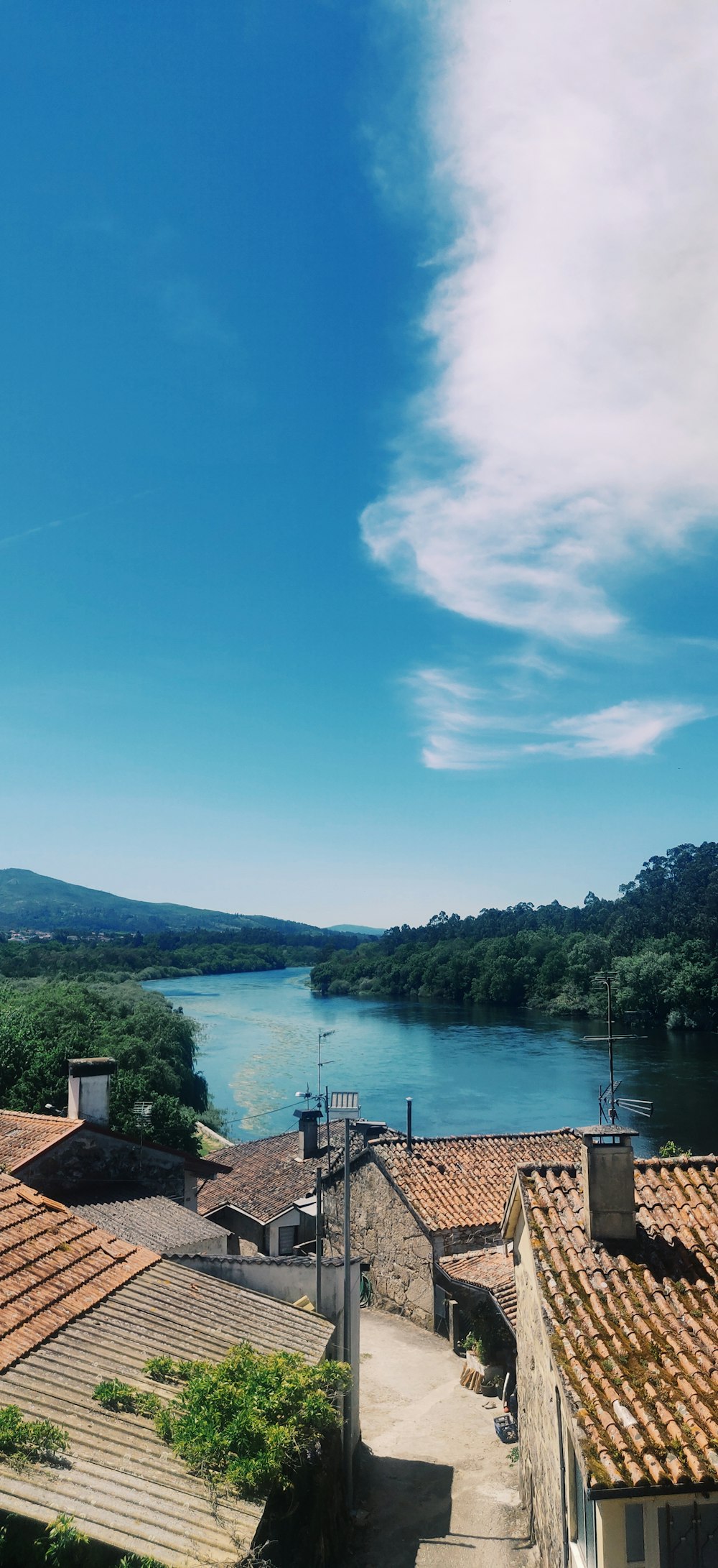 aerial photography of body of water between trees