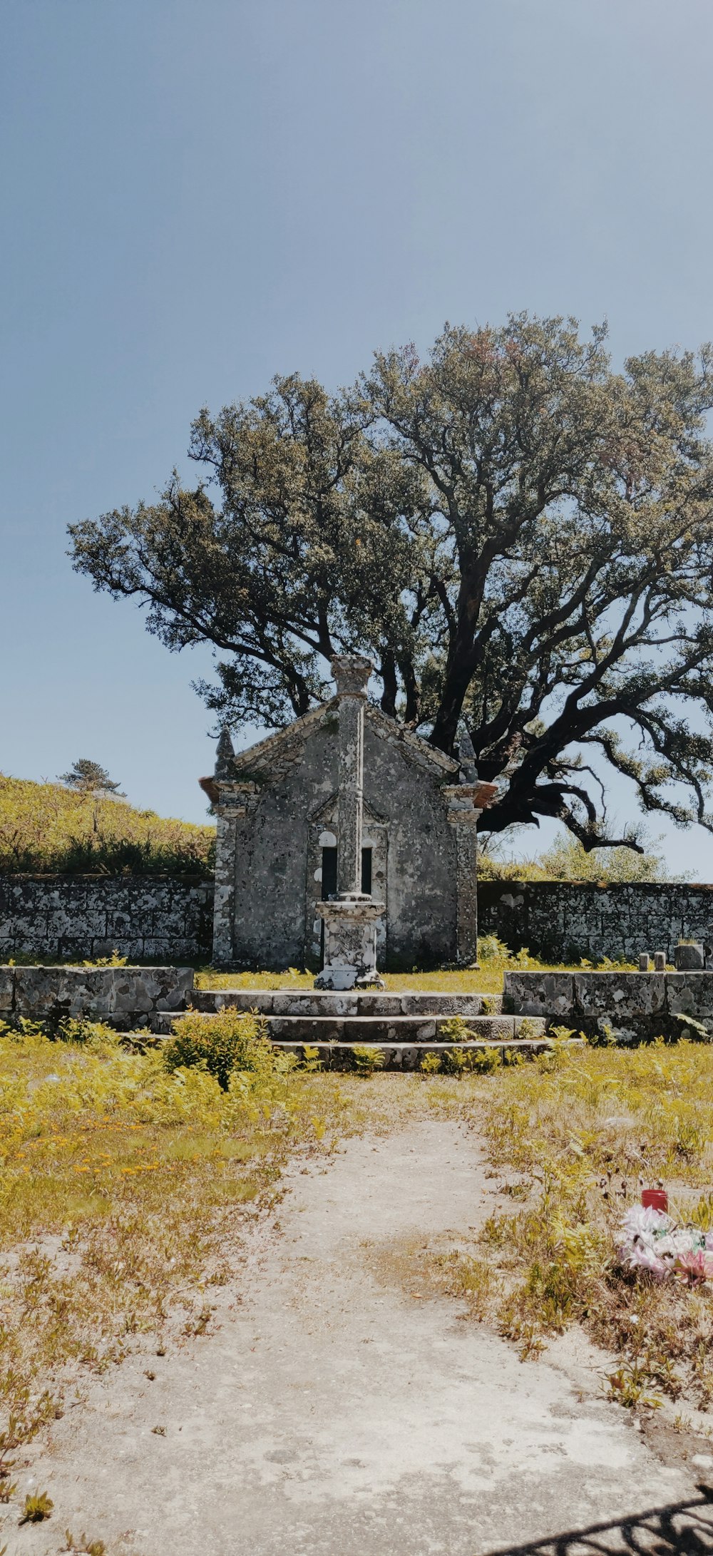 ruins in forest