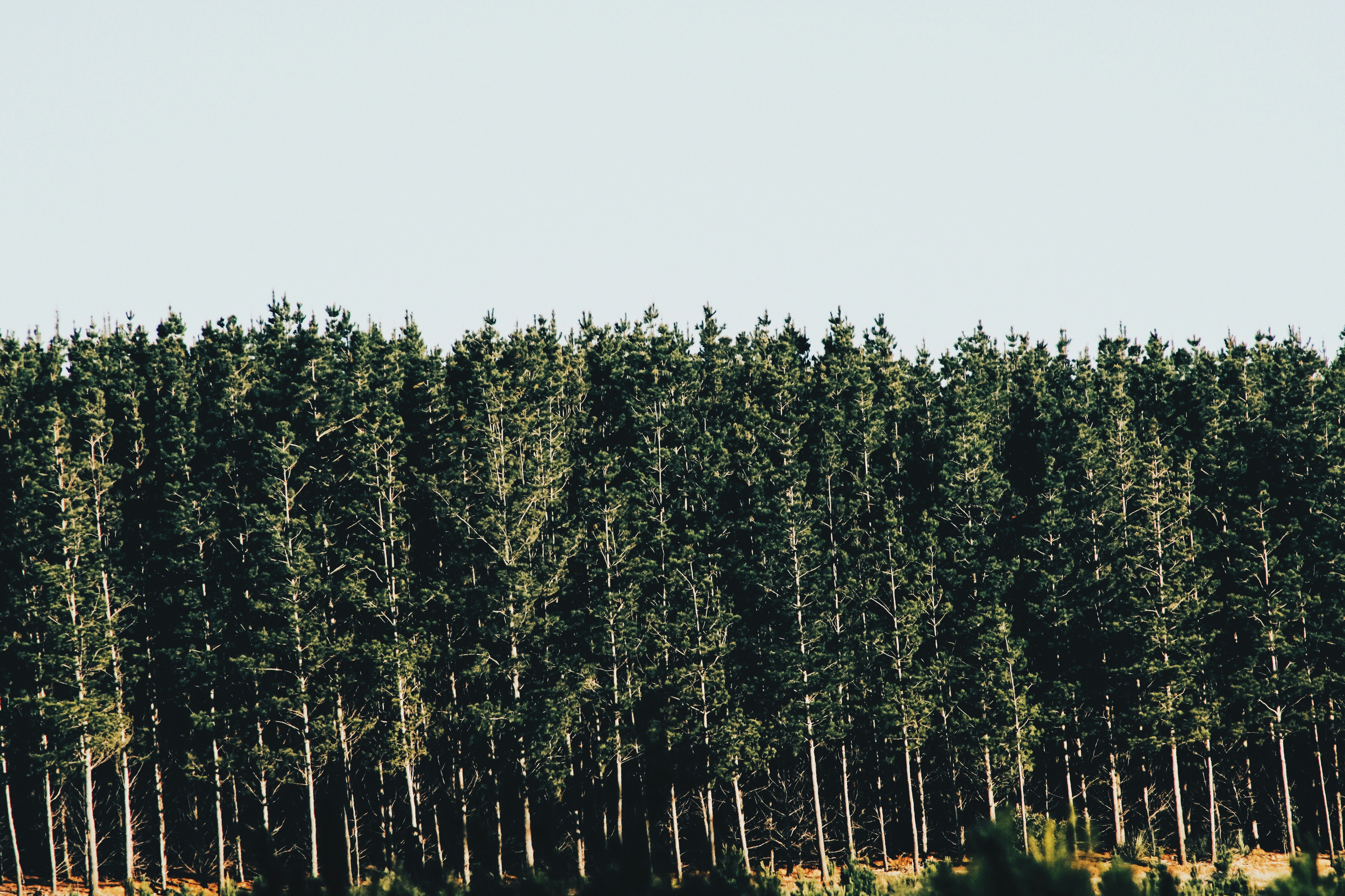 Photo by __camilocastro