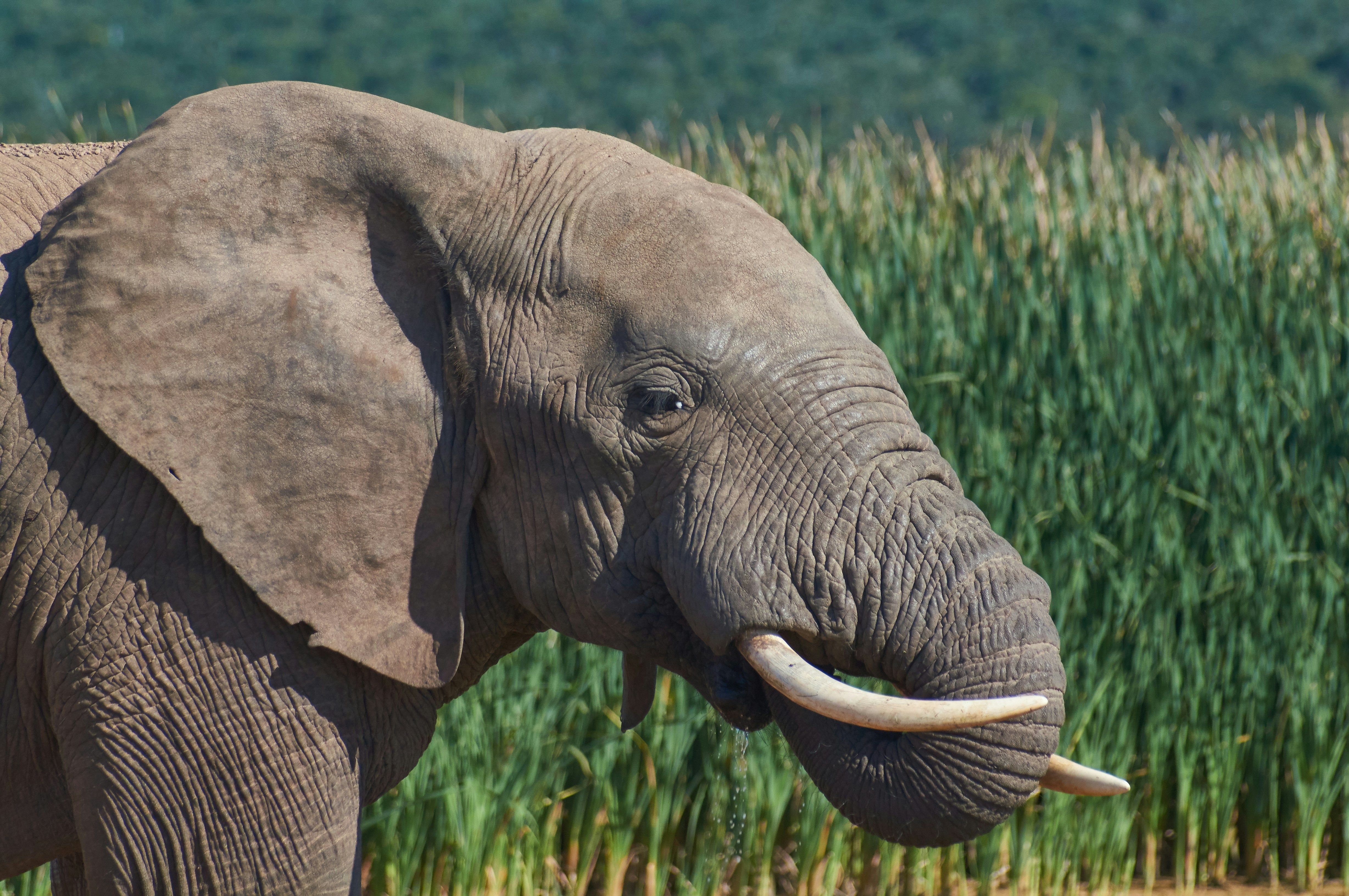 Upgrade to PostgreSQL 12.8