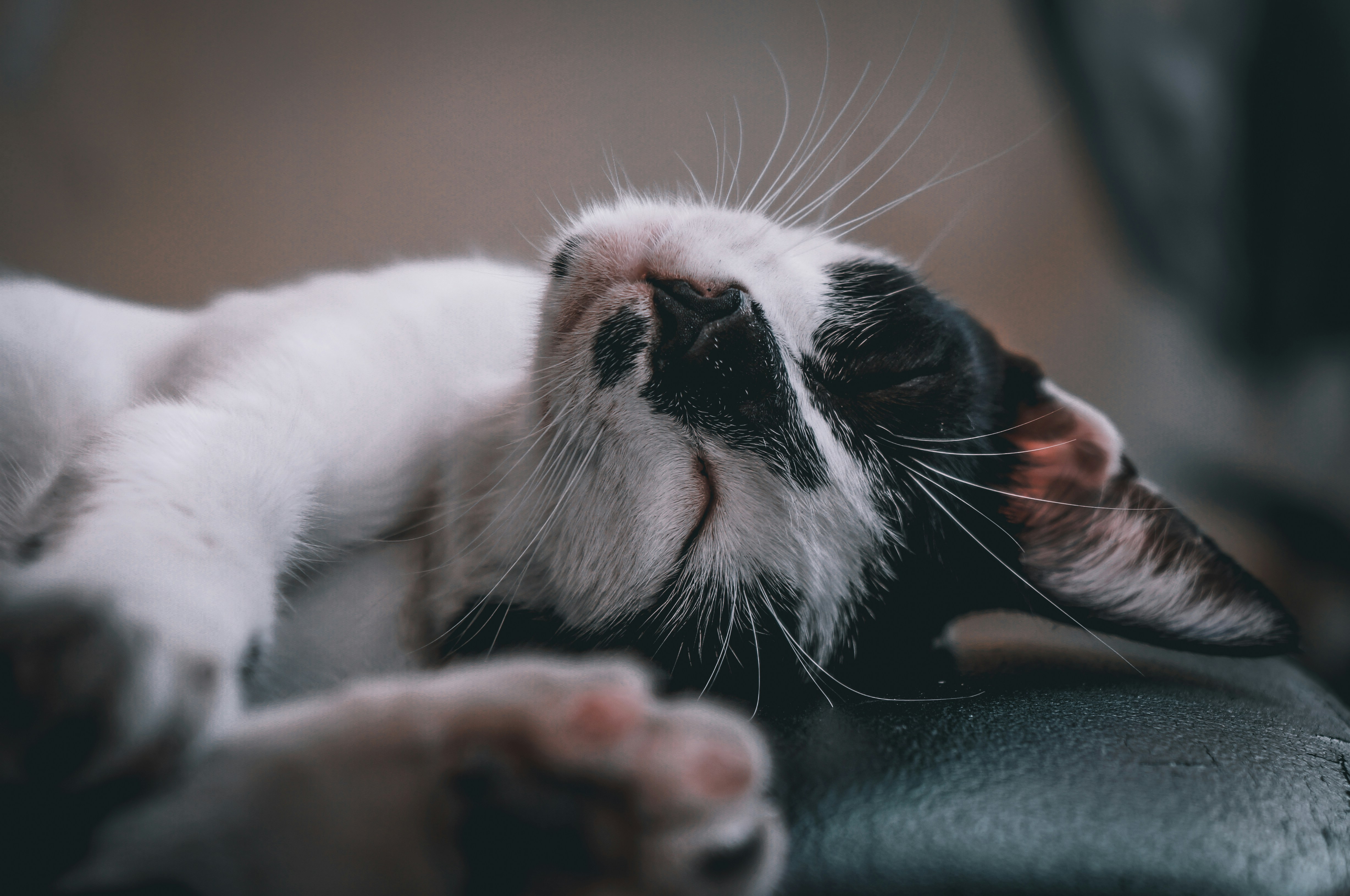 Photo by hikarinoshita