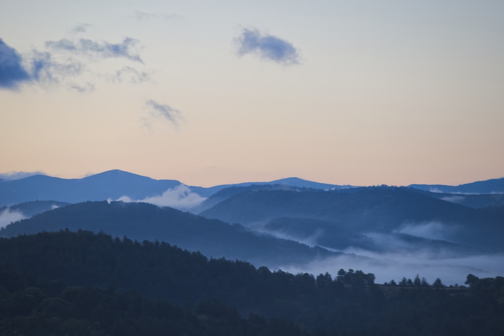 aerial photography of mountain covered with fogs