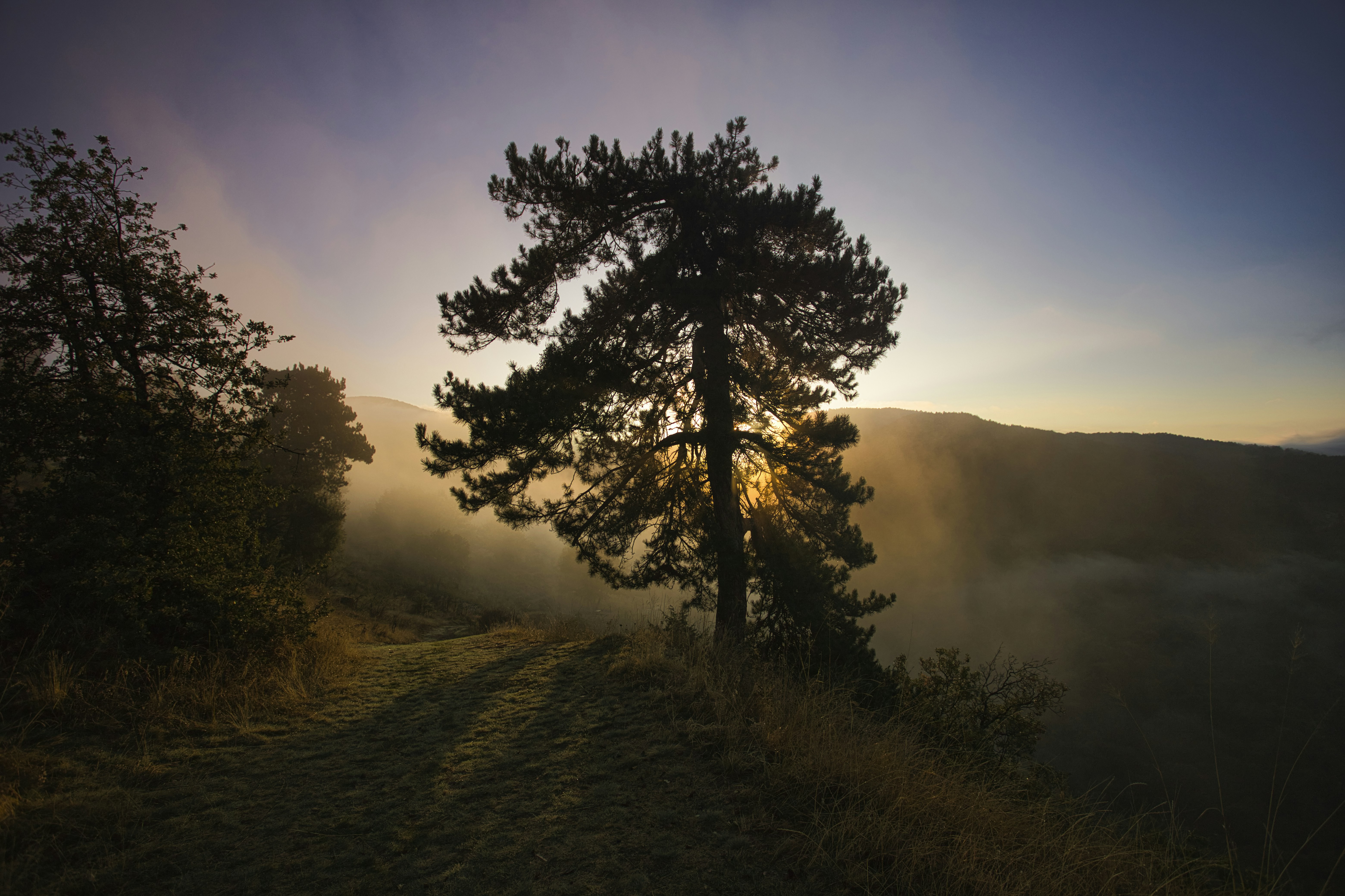 Photo by nikolayh
