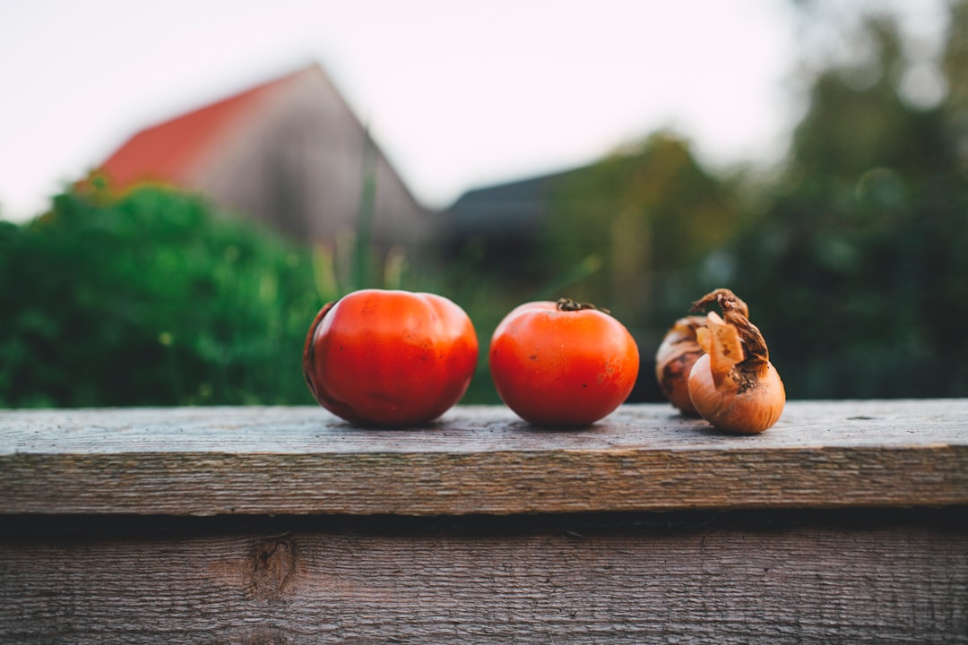 two tomatoes