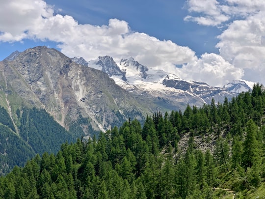 aerial photography of forest viewing mountain under white and blue sky during daytime in Gran Paradiso Alps Italy