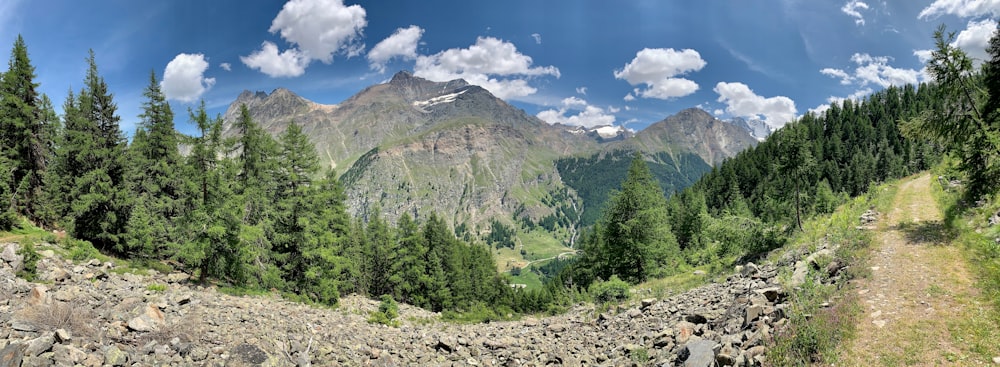 view of treeline by mountain during daytime