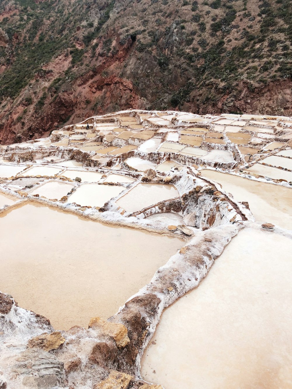 salt fields