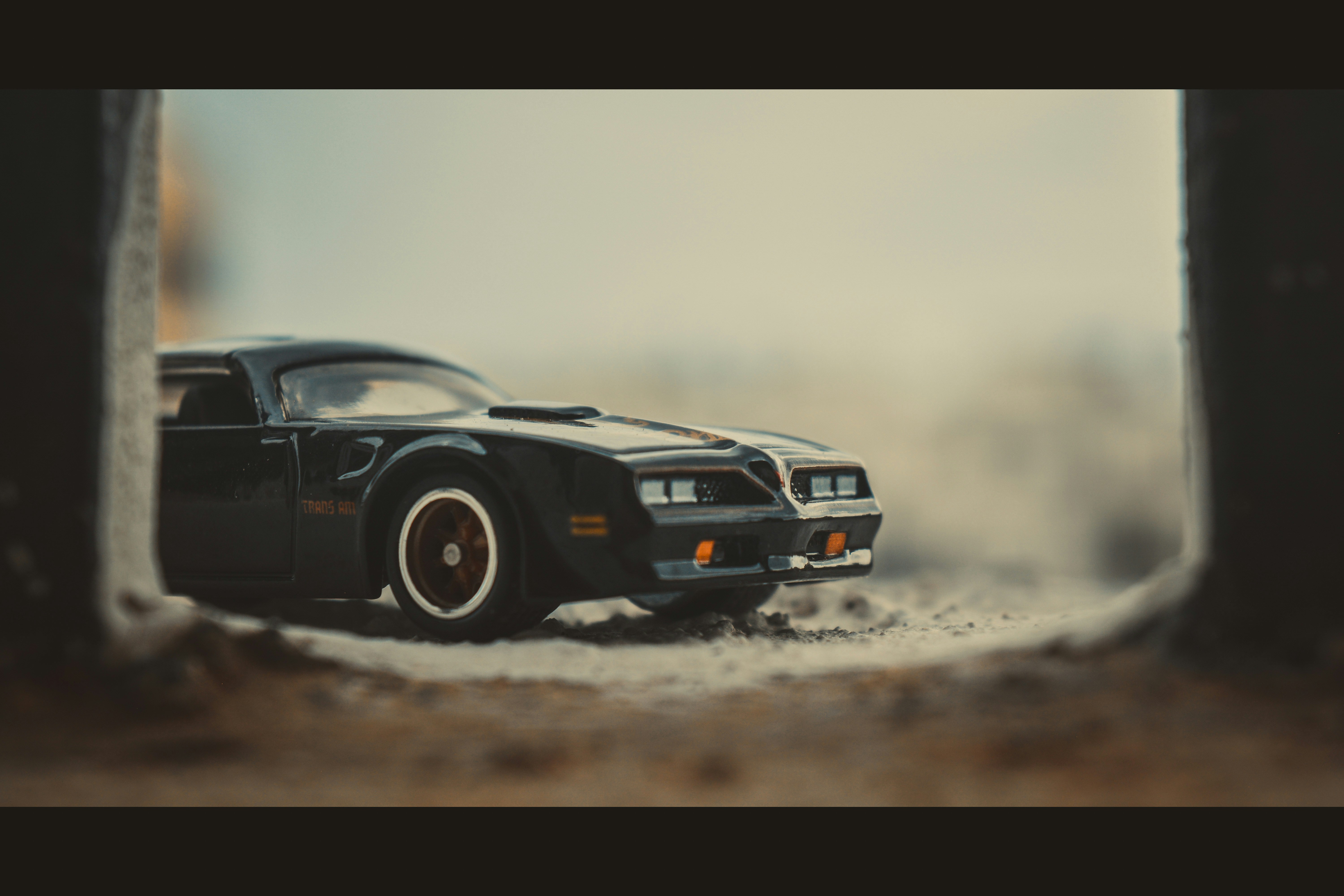 Photo by thefinalshot