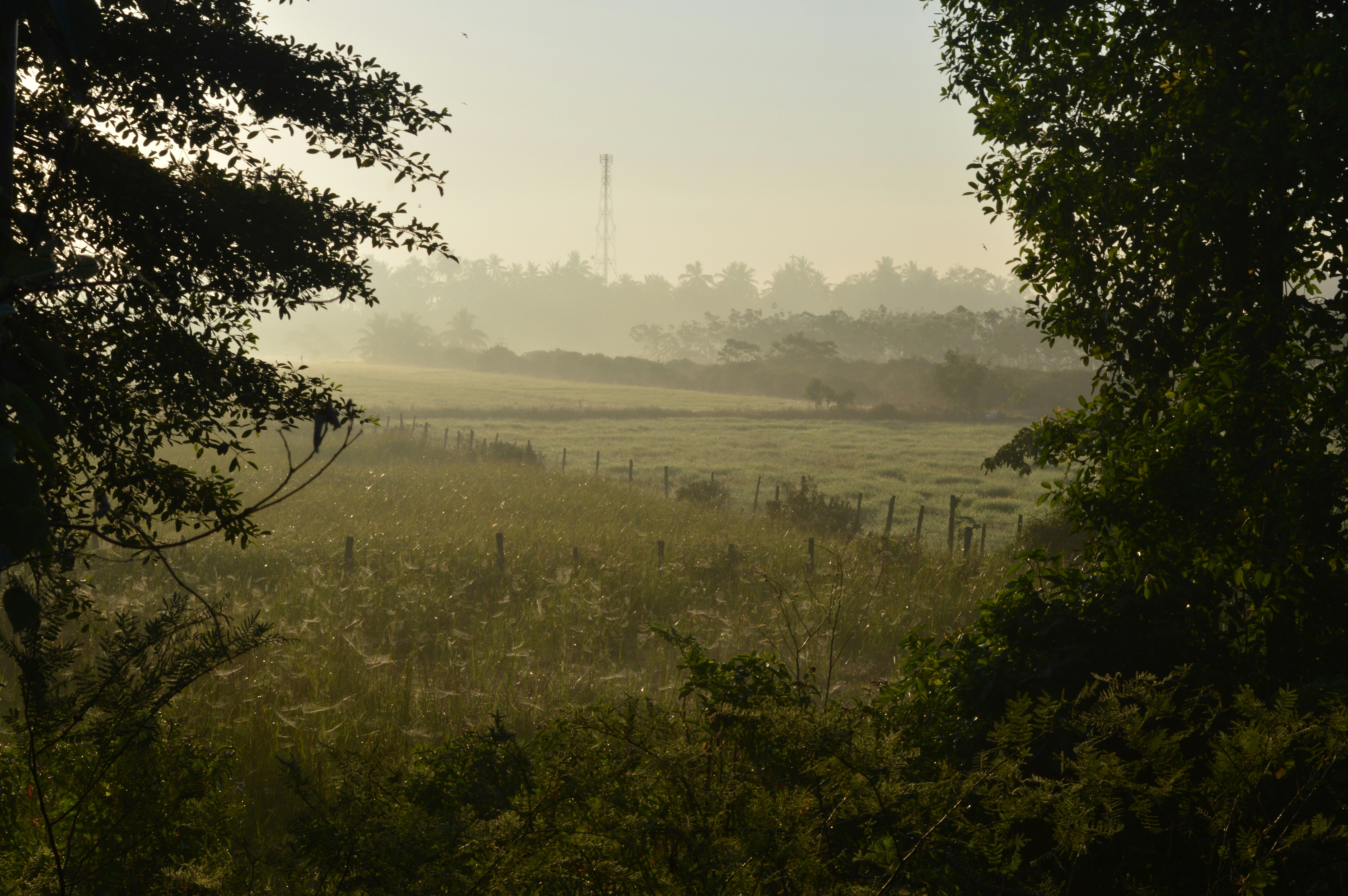 Photo by dyxox_photo