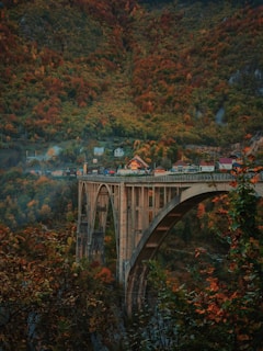 brown concrete bridge