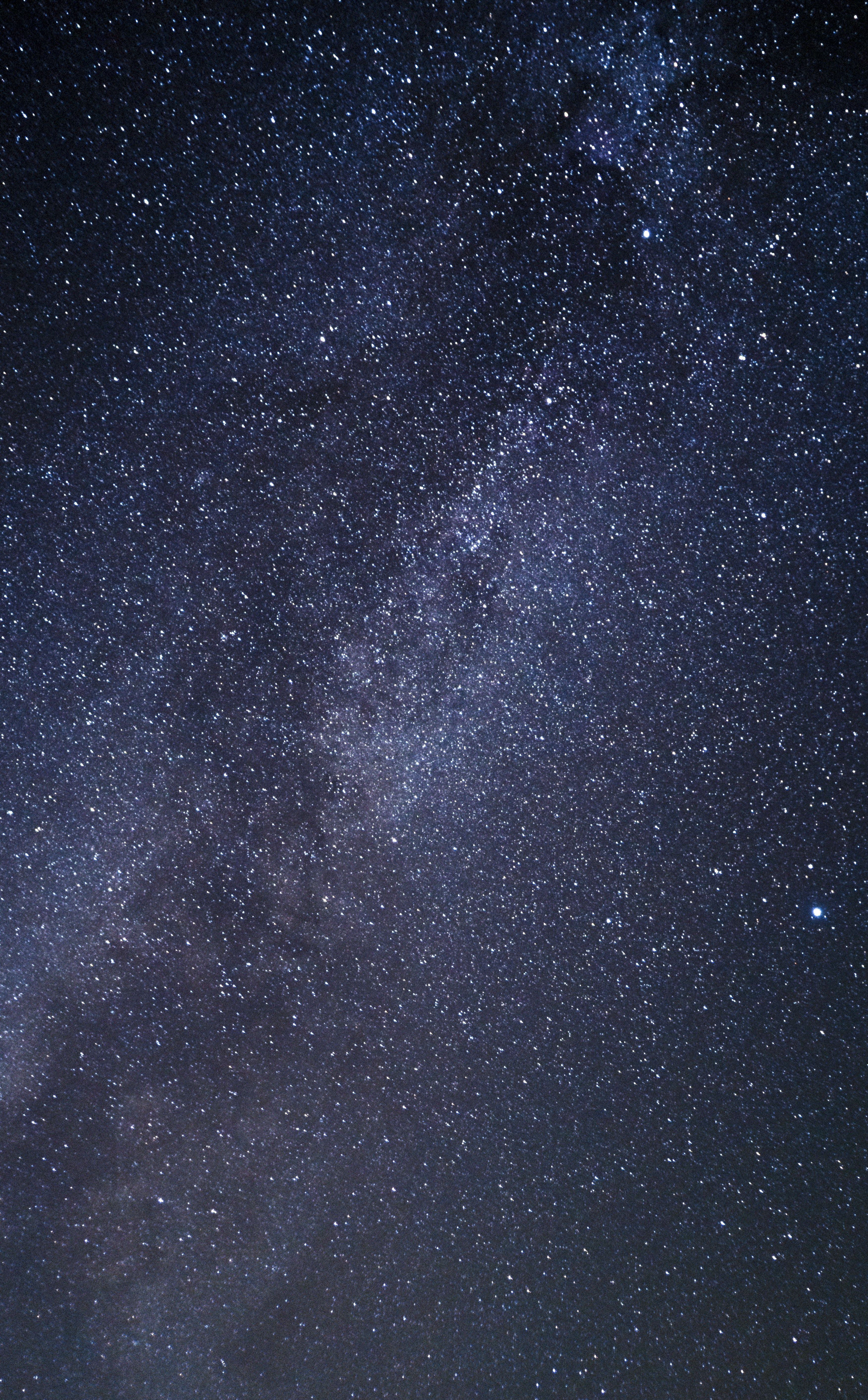 Photo by juniperphoton