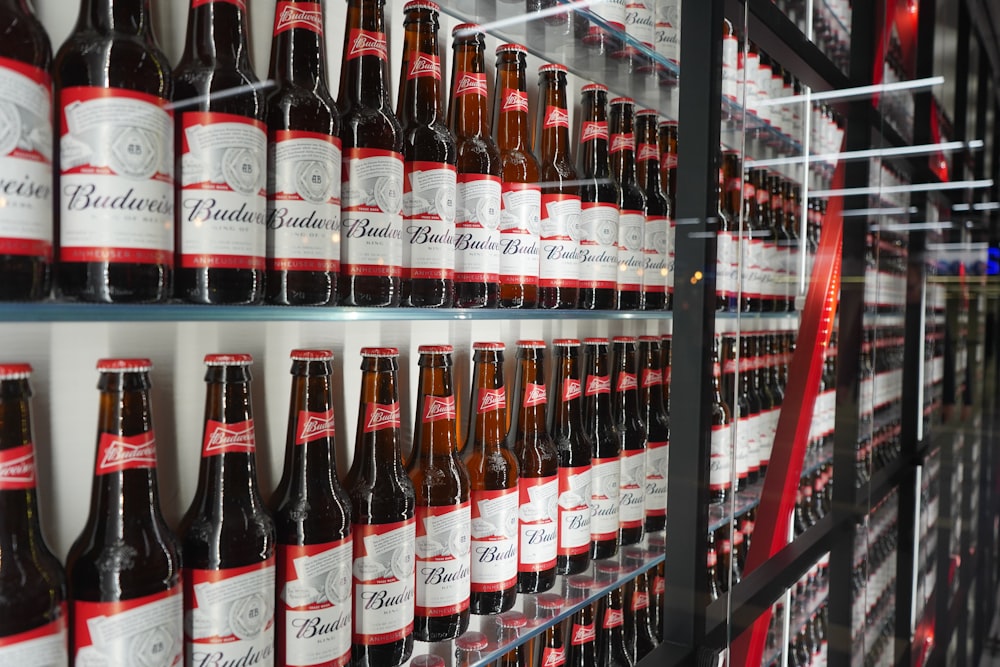 Budweiser beer bottles on display