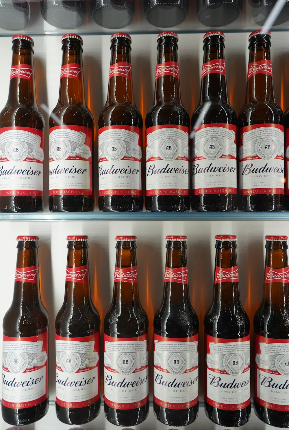 shelves of Budweiser beer bottle