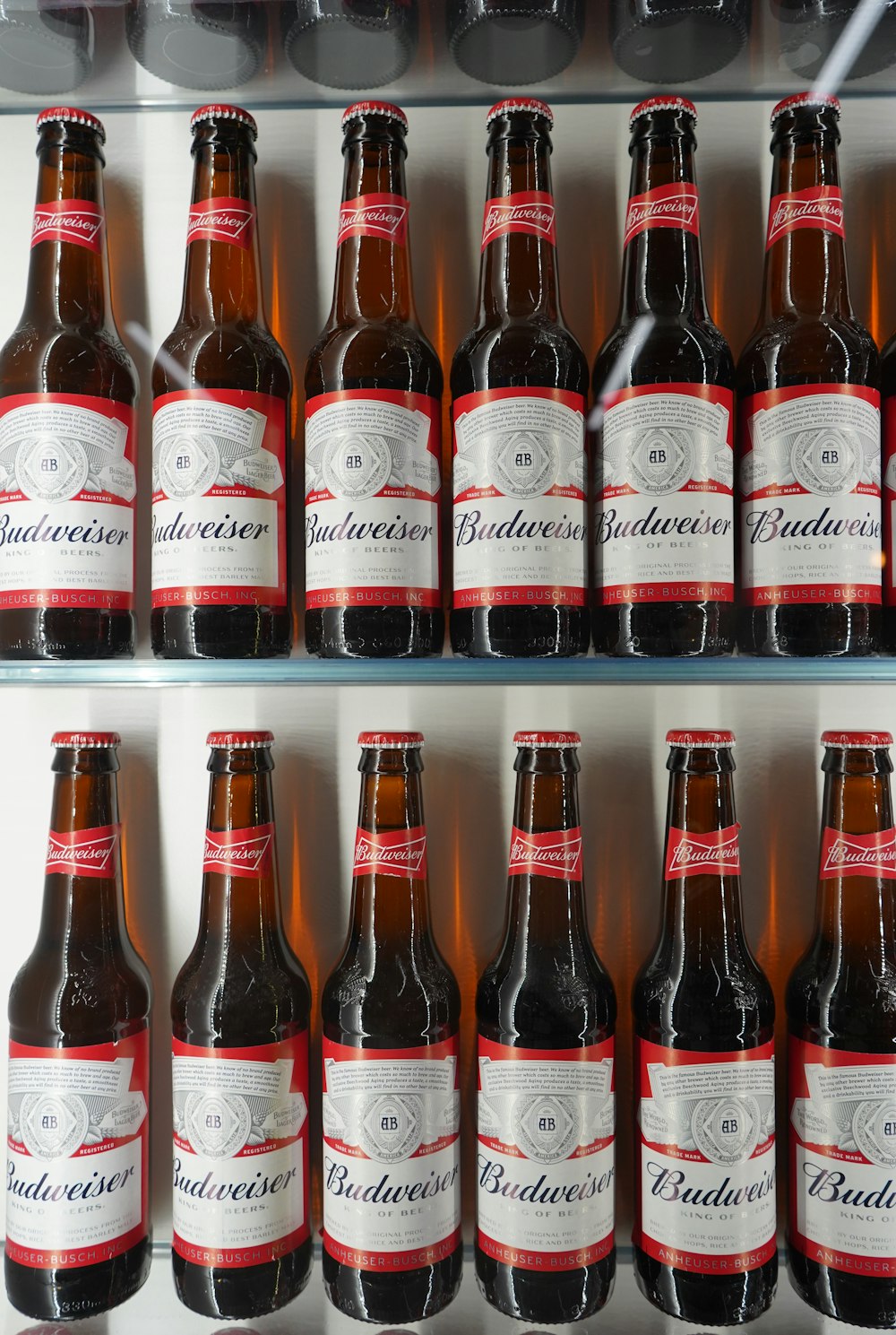 prateleiras da garrafa de cerveja Budweiser