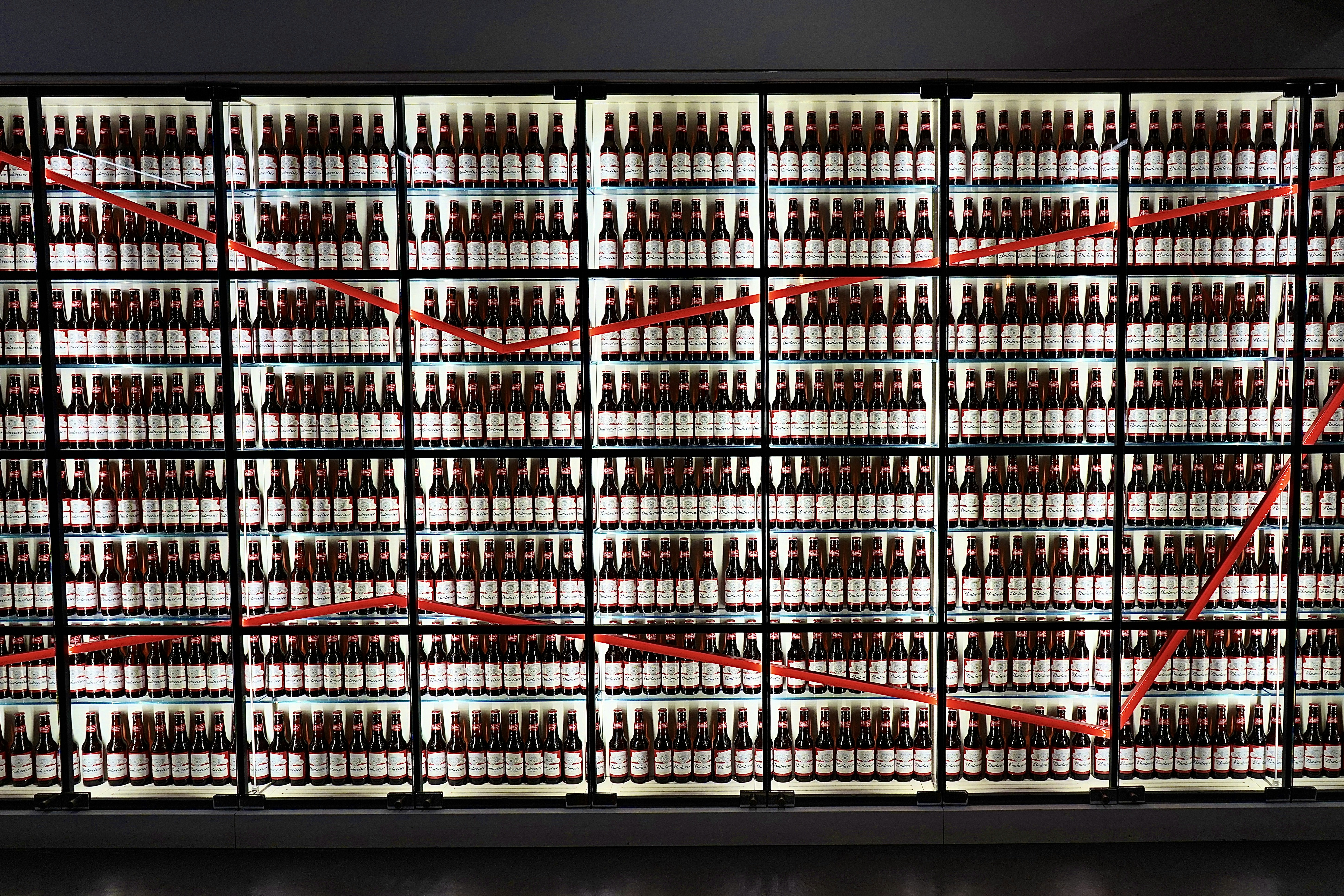 冷蔵庫なし生活の可能性｜食材保存の代替手段を検証関連画像