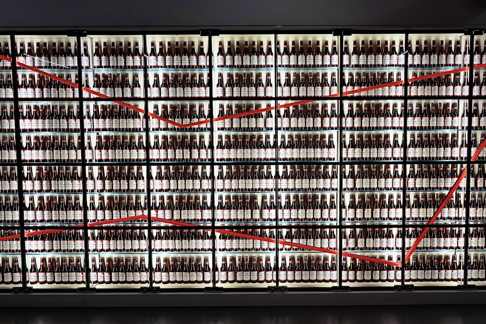 fila di frigoriferi pieni di birra