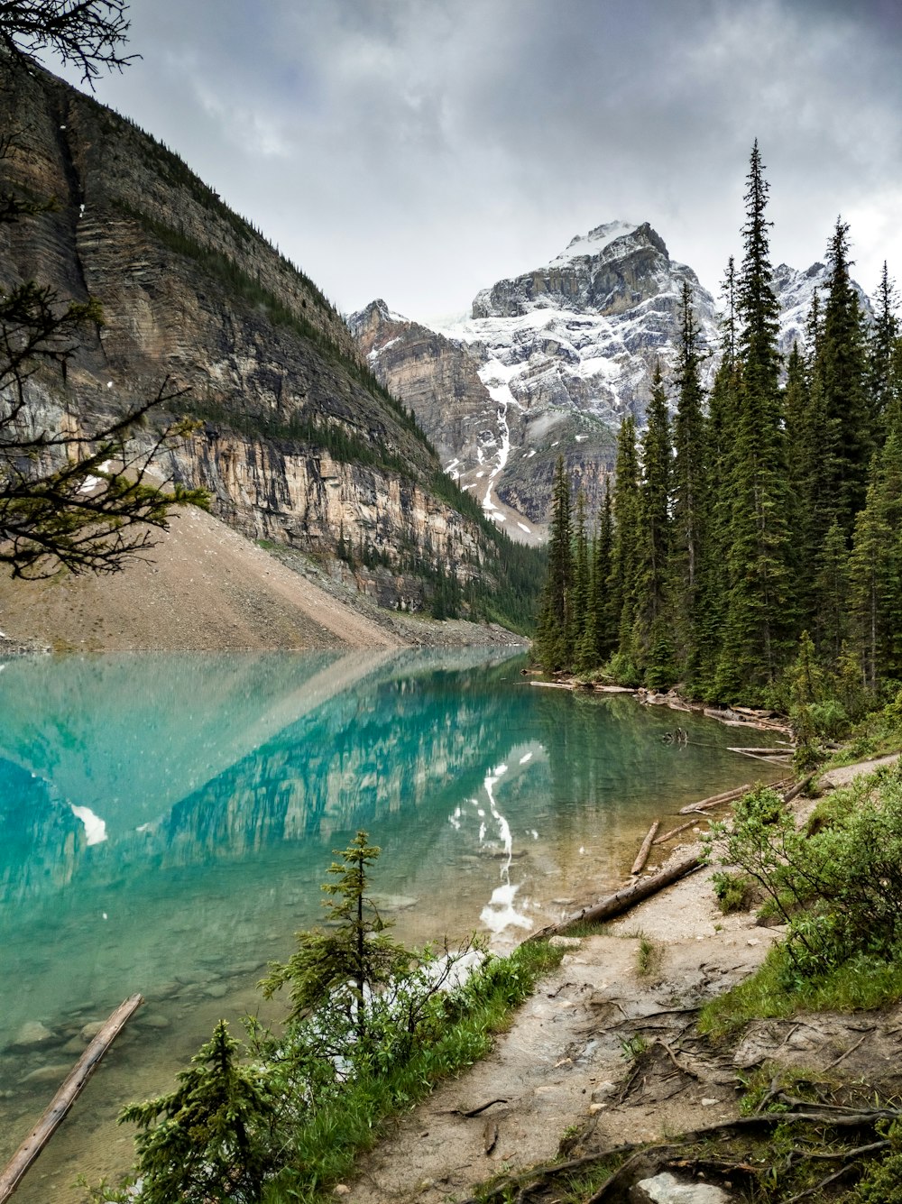 reflection of trees on body of water under cloudy sky