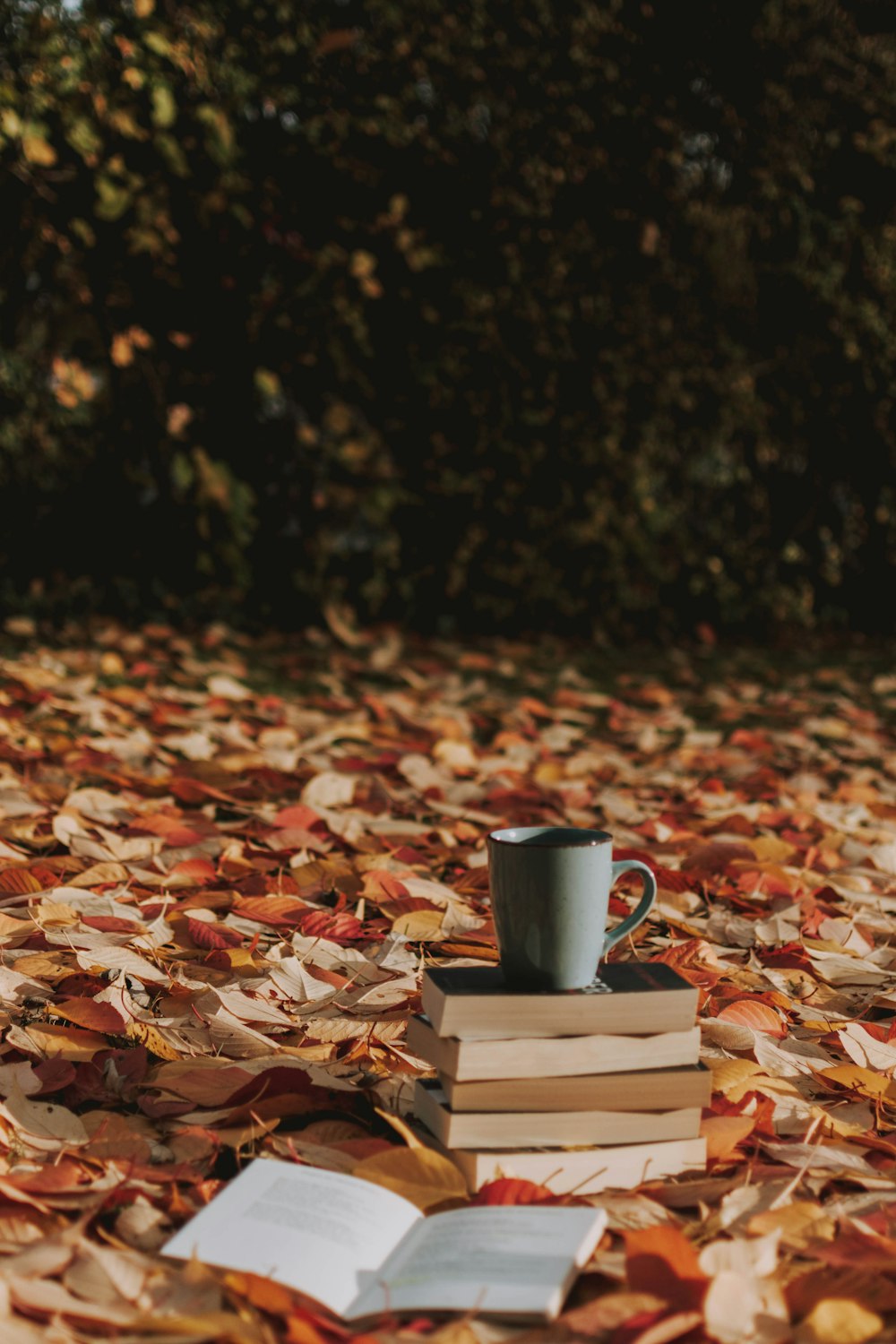 a stack of books with a cup of coffee on top of them