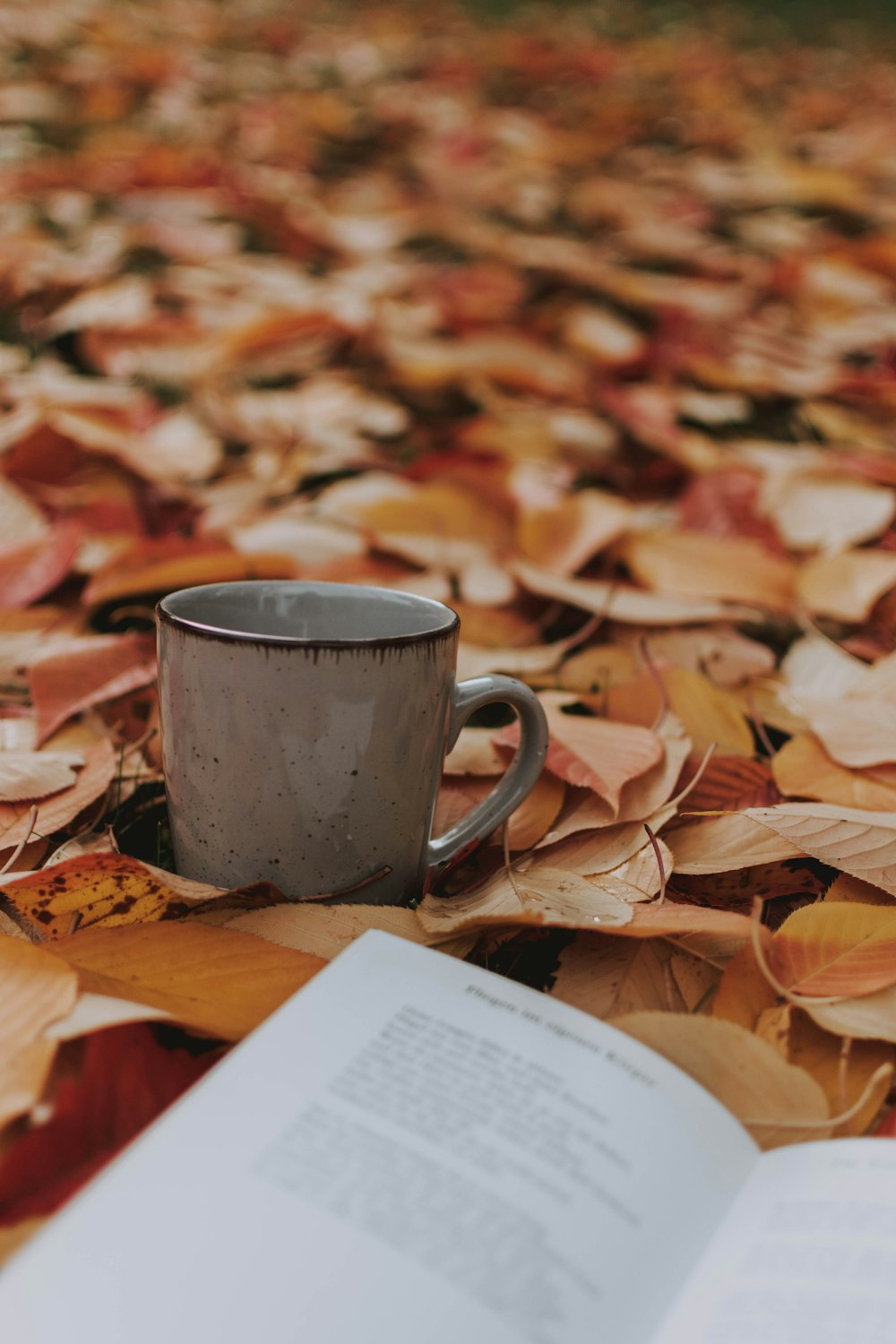 gray ceramic mug on leaves