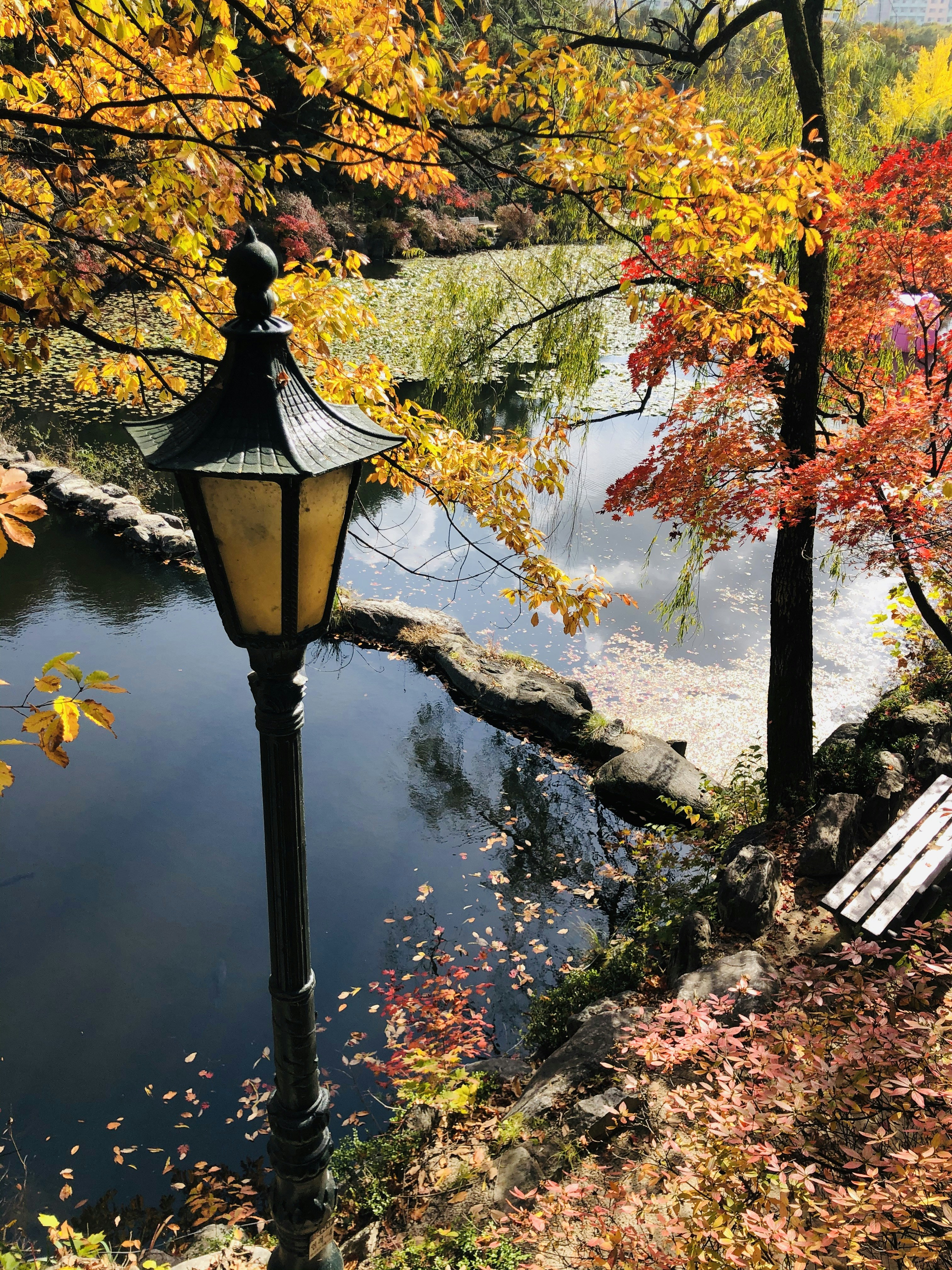 Photo by birdmee_pic