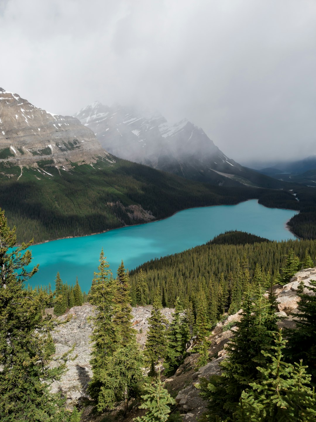 Glacial lake photo spot Peyto Lake Nordegg