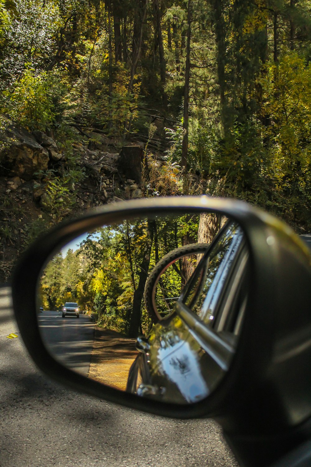reflection of car and trees on vehicle wing mirror