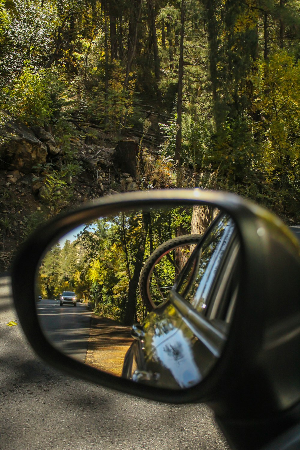 Spiegelung von Auto und Bäumen auf dem Außenspiegel des Fahrzeugs