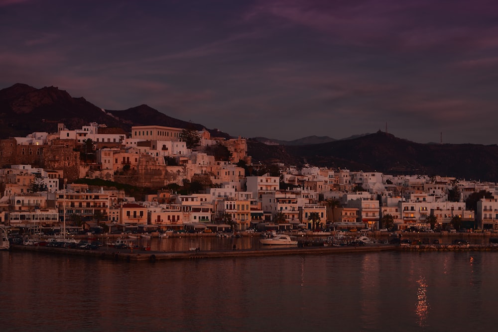 brown and white houses near body of water