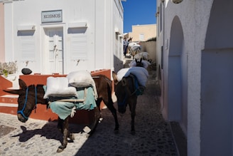 A courier handing off a package to a smiling customer in a sunny Kythira village street.