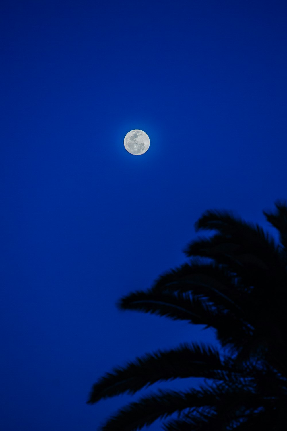 full moon at a blue sky