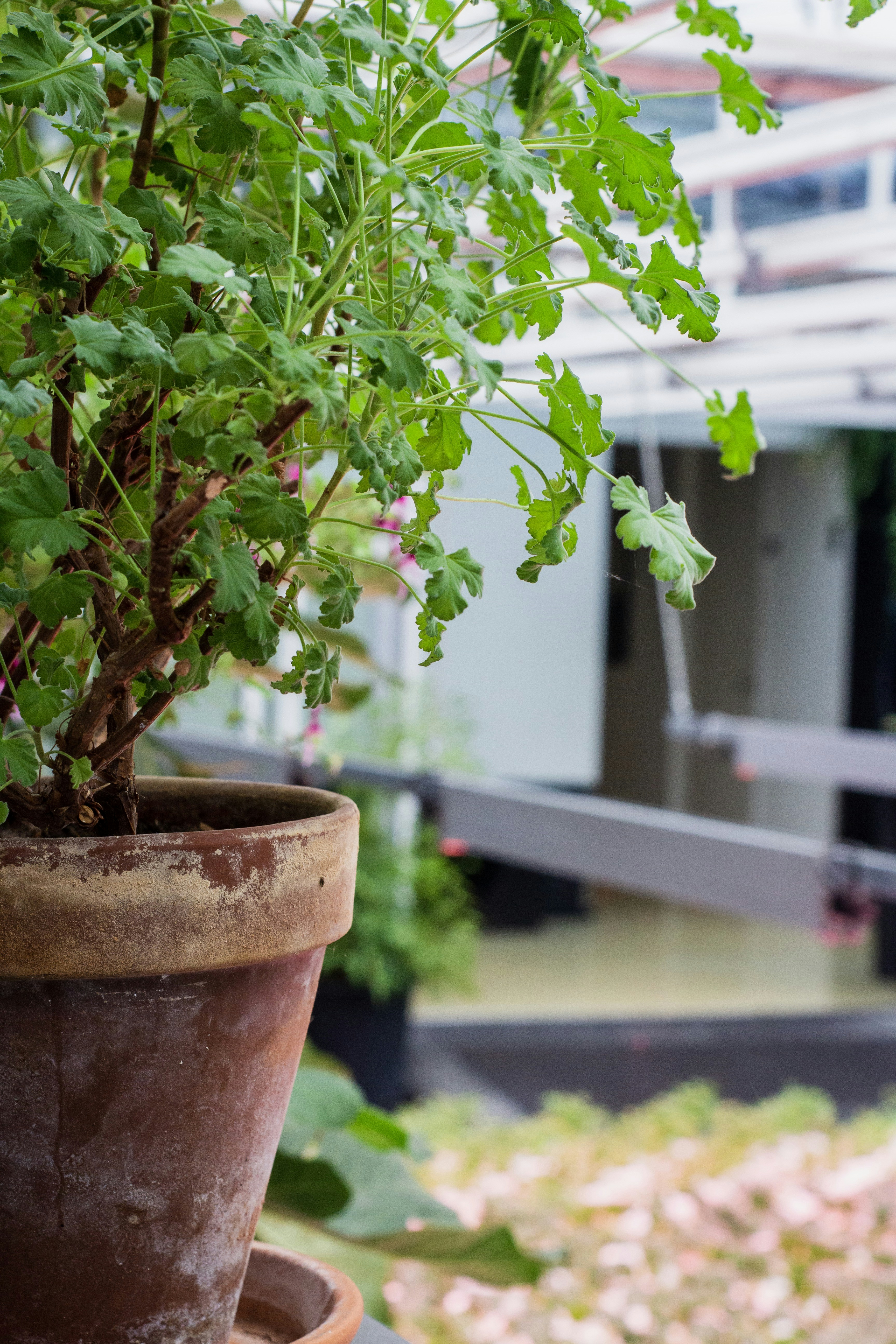 Photo by louishansel