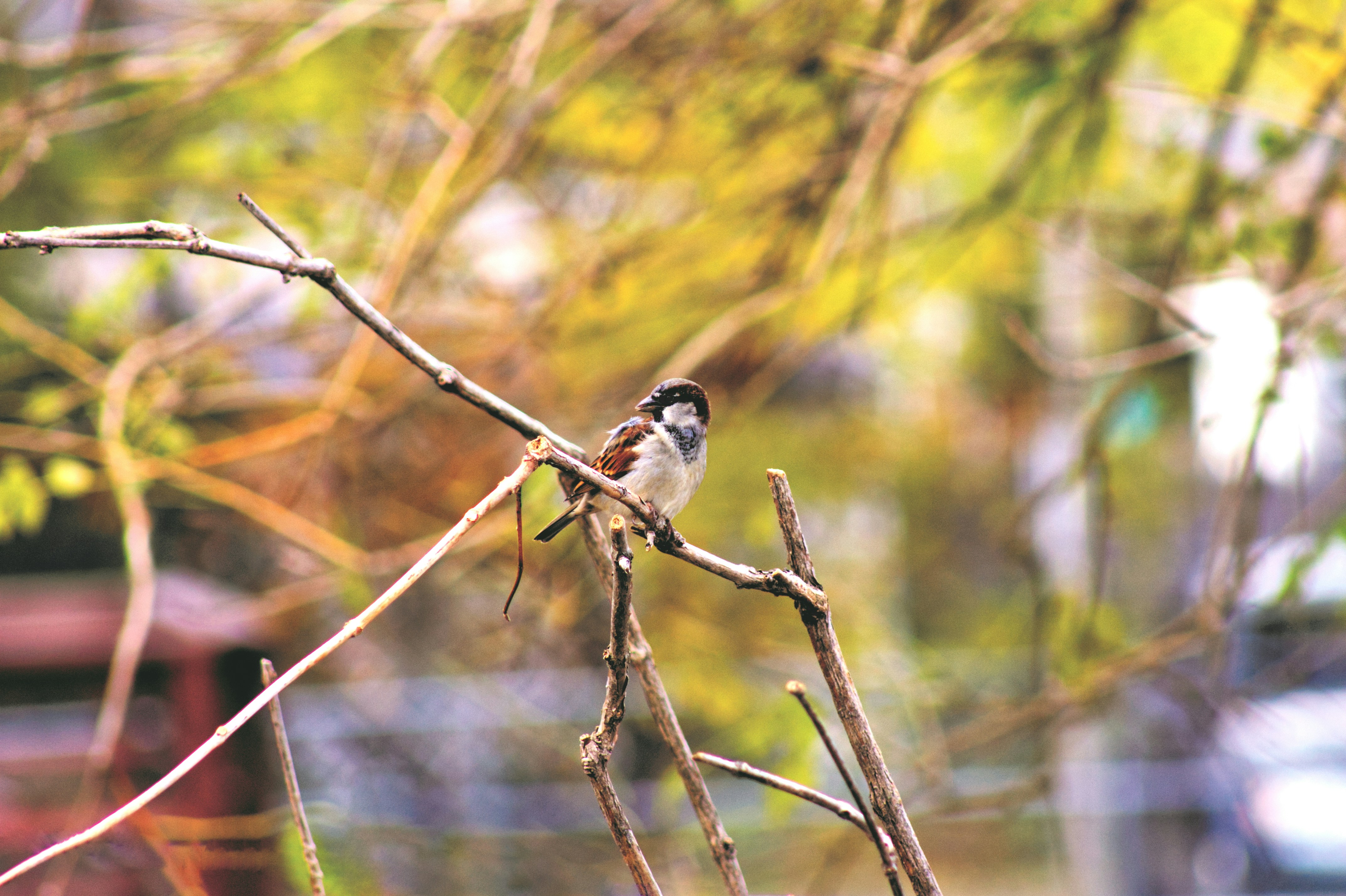 Photo by cortland_smith_kerr