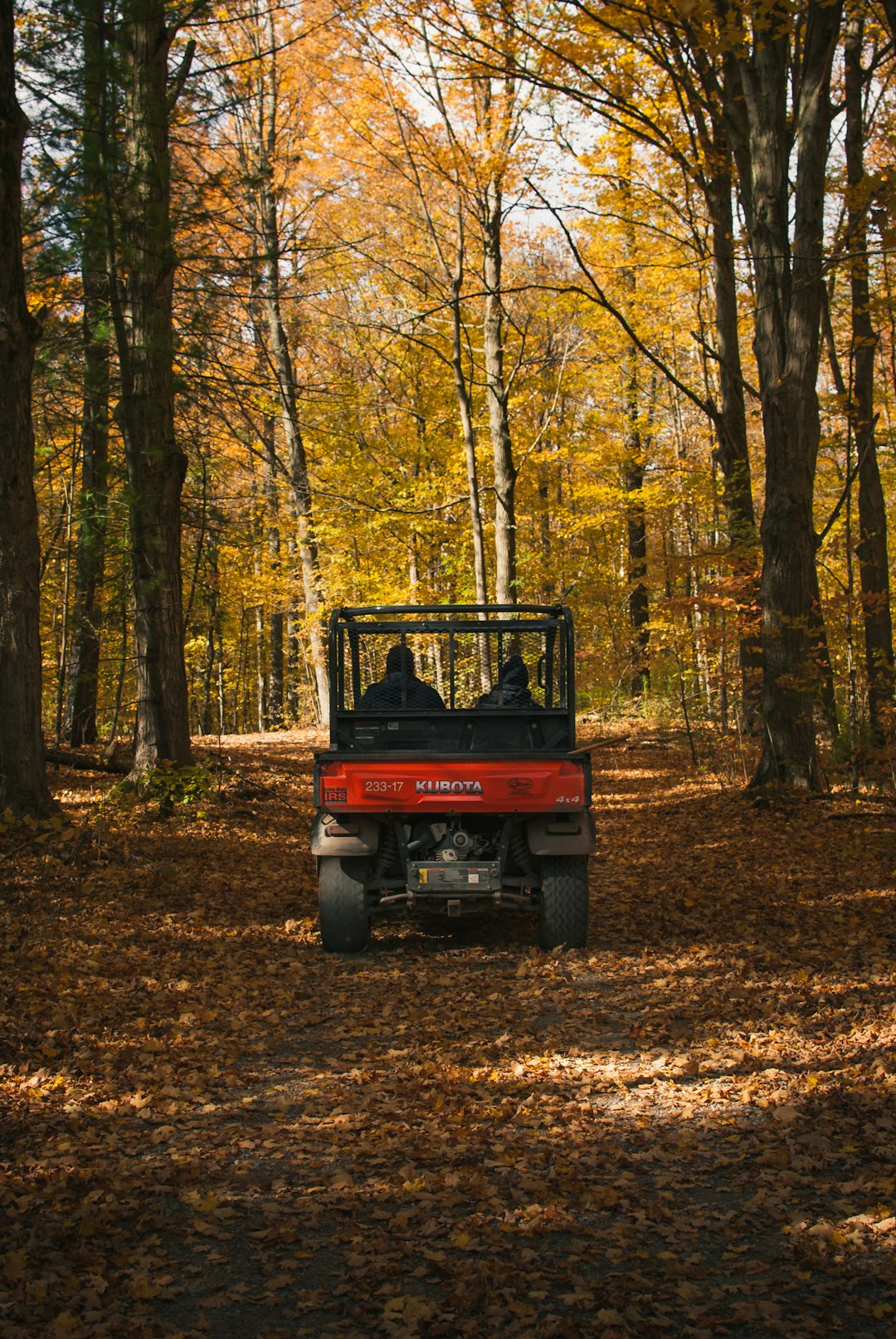 people in red and black UTV surrounded by trees