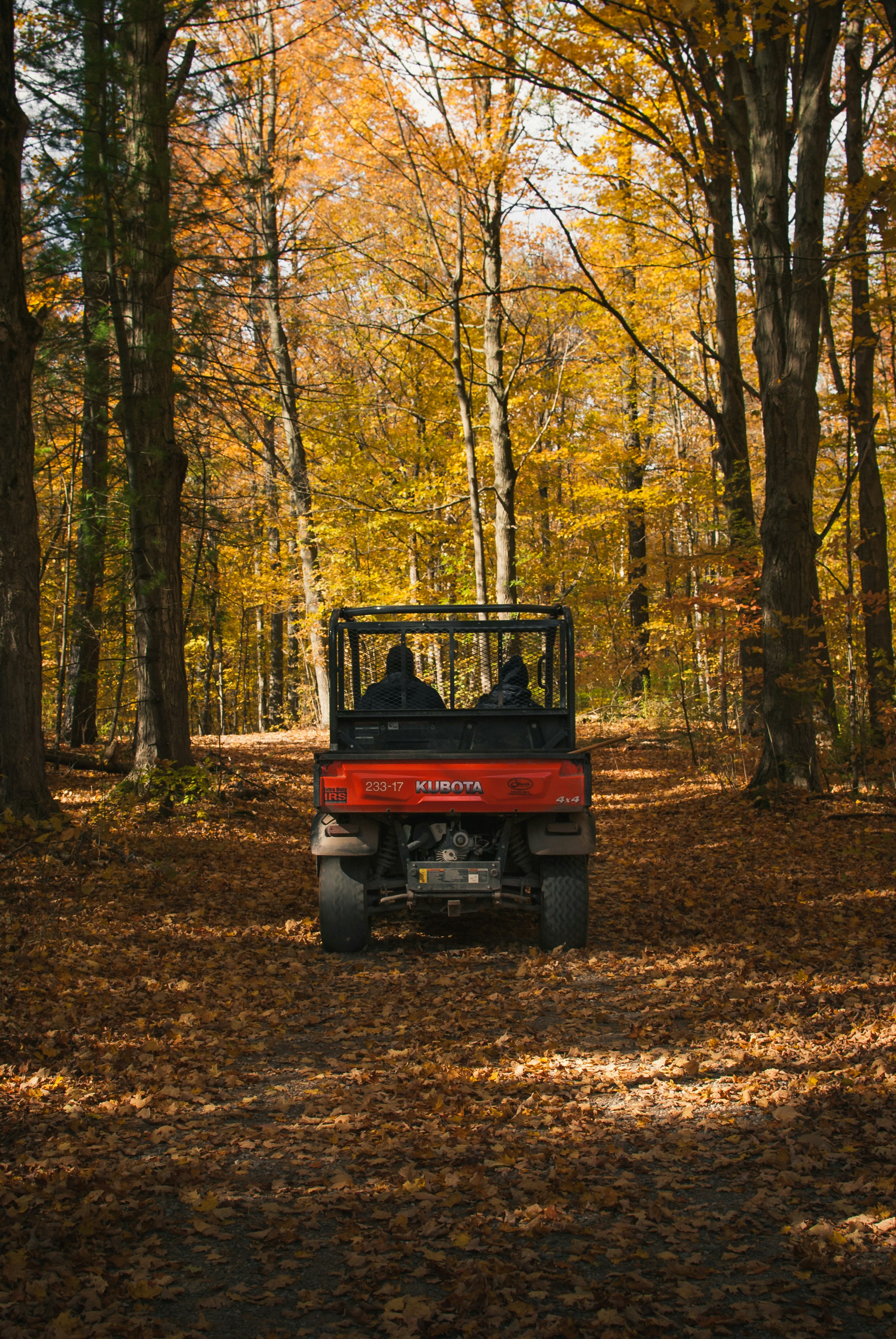 people in red and black UTV surrounded by trees