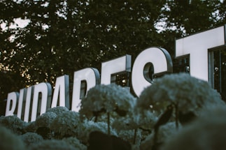 Large illuminated letters spell out the word 'Budapest' against a backdrop of trees. The letters are surrounded by clusters of light-colored flowers in the foreground.