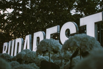 Large illuminated letters spell out the word 'Budapest' against a backdrop of trees. The letters are surrounded by clusters of light-colored flowers in the foreground.
