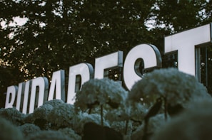 Large illuminated letters spell out the word 'Budapest' against a backdrop of trees. The letters are surrounded by clusters of light-colored flowers in the foreground.