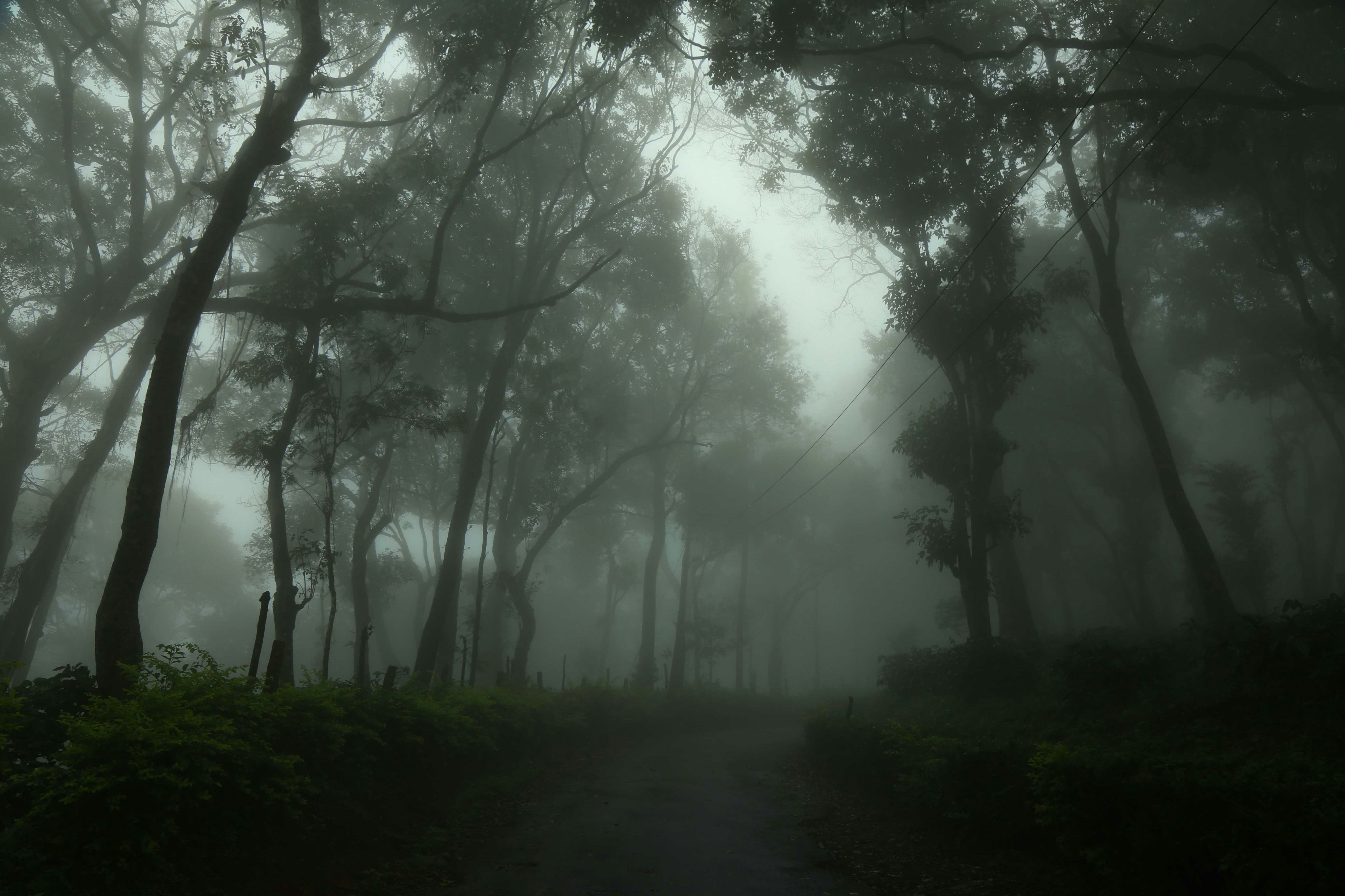 Photo by wilsanphotography