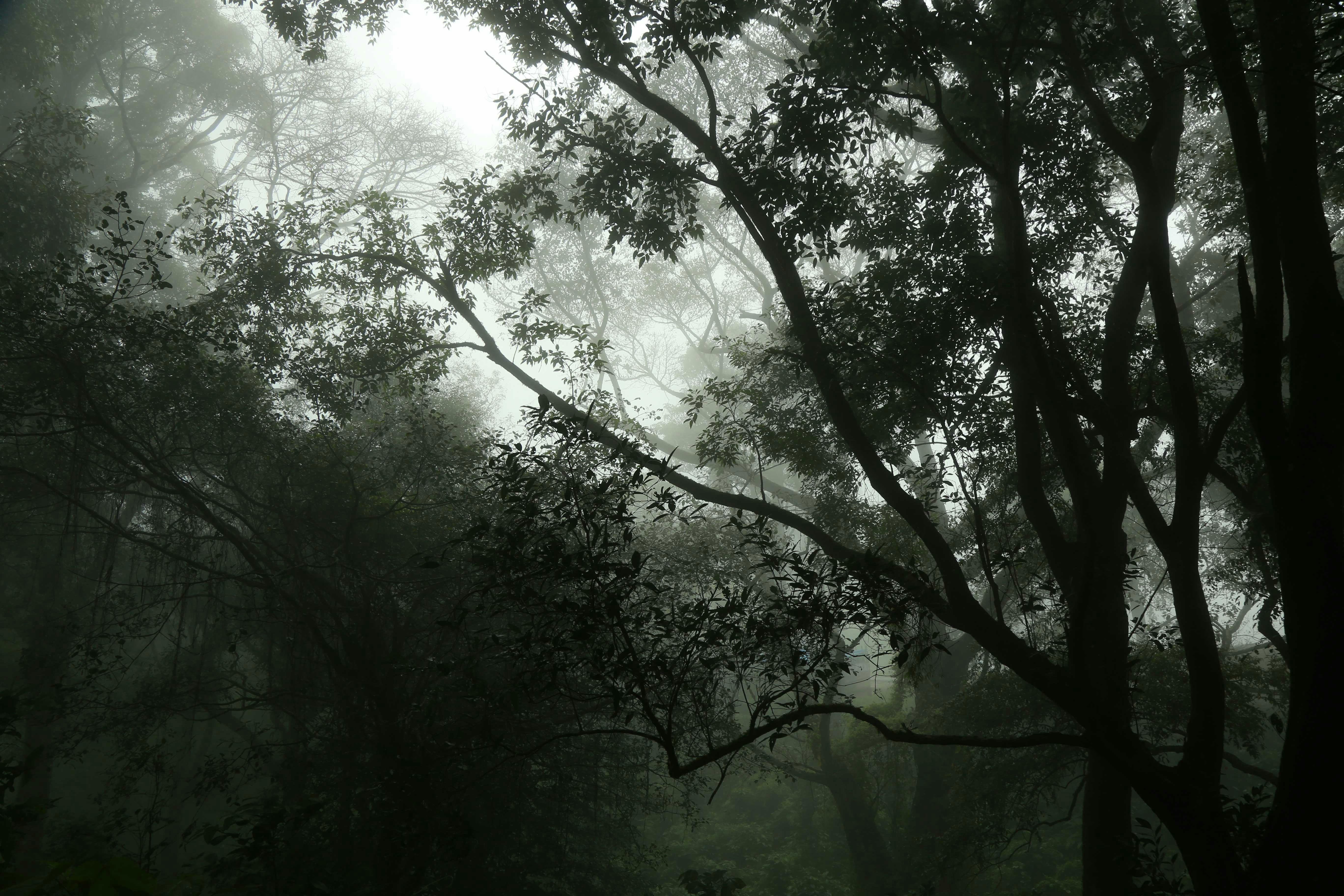 Photo by wilsanphotography