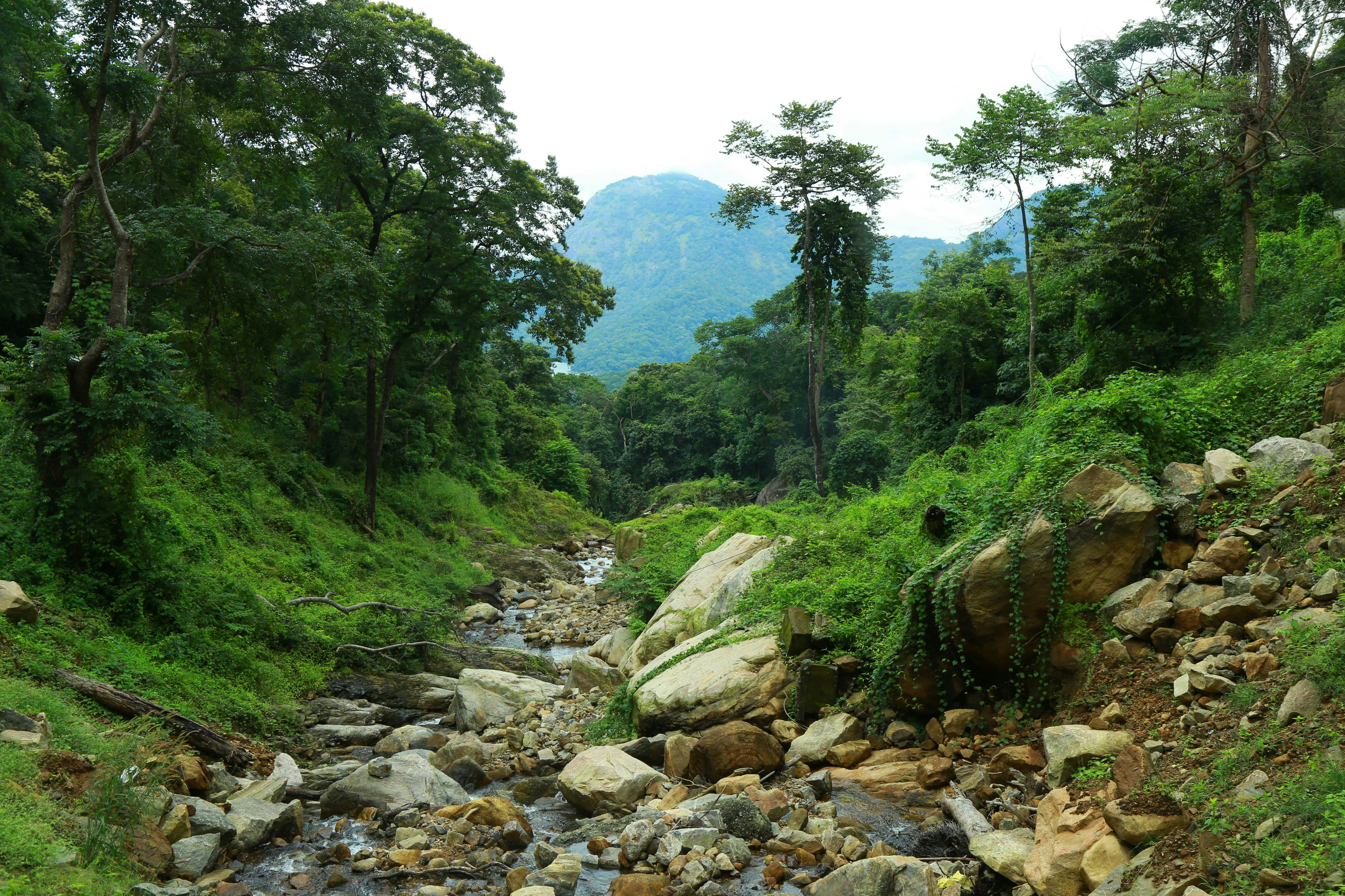 Photo by wilsanphotography