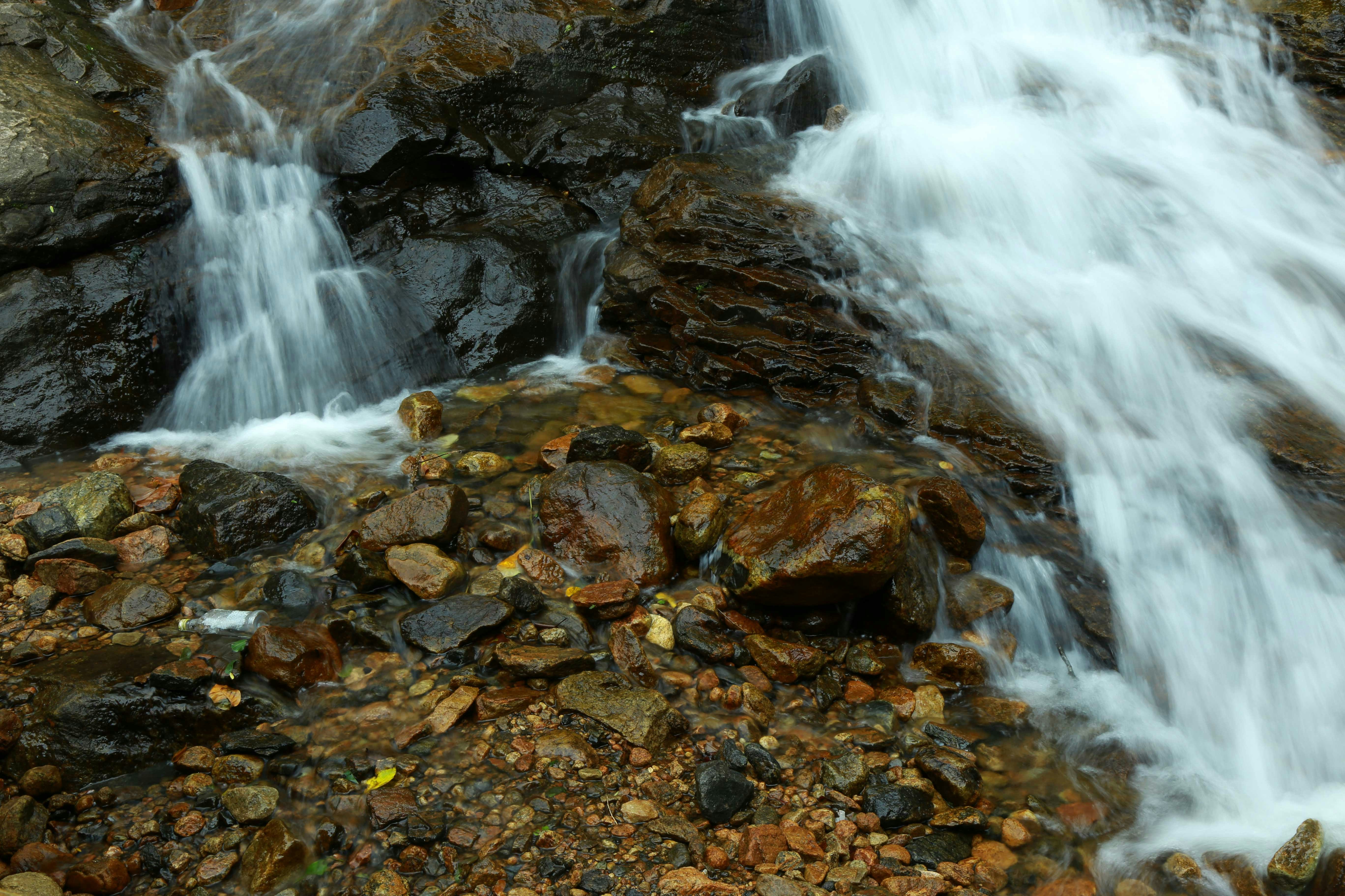 Photo by wilsanphotography