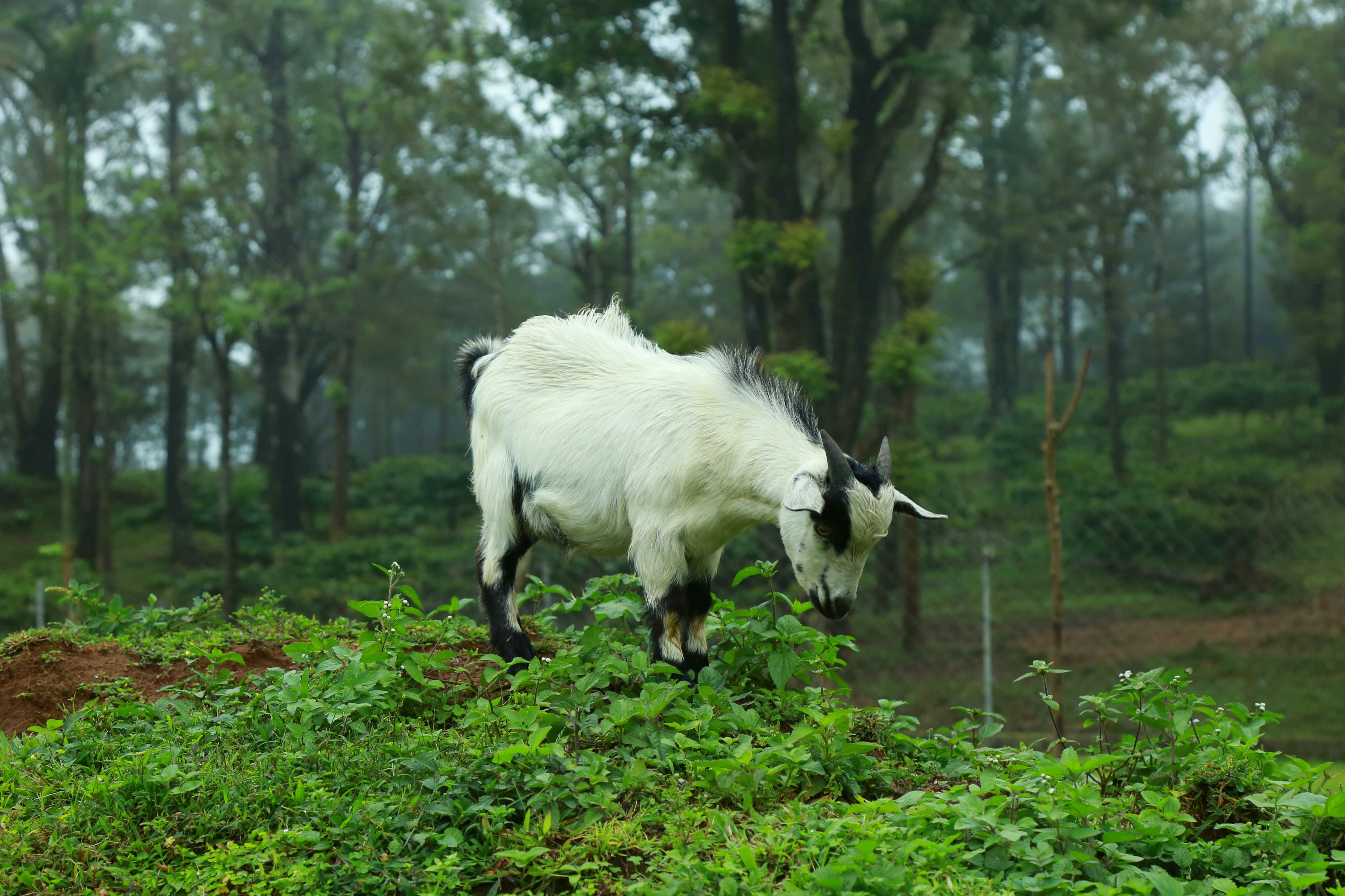 Photo by wilsanphotography