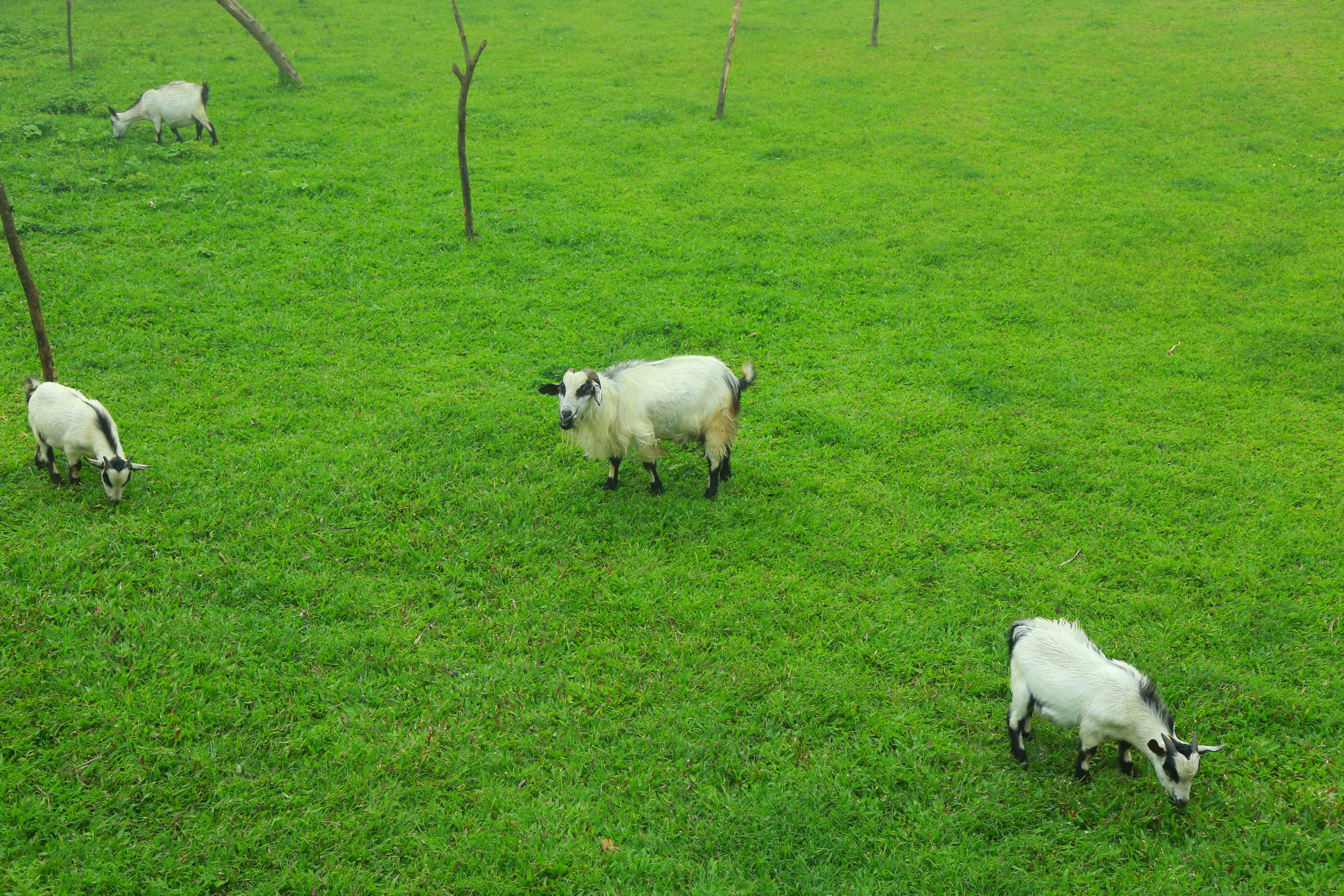 Photo by wilsanphotography