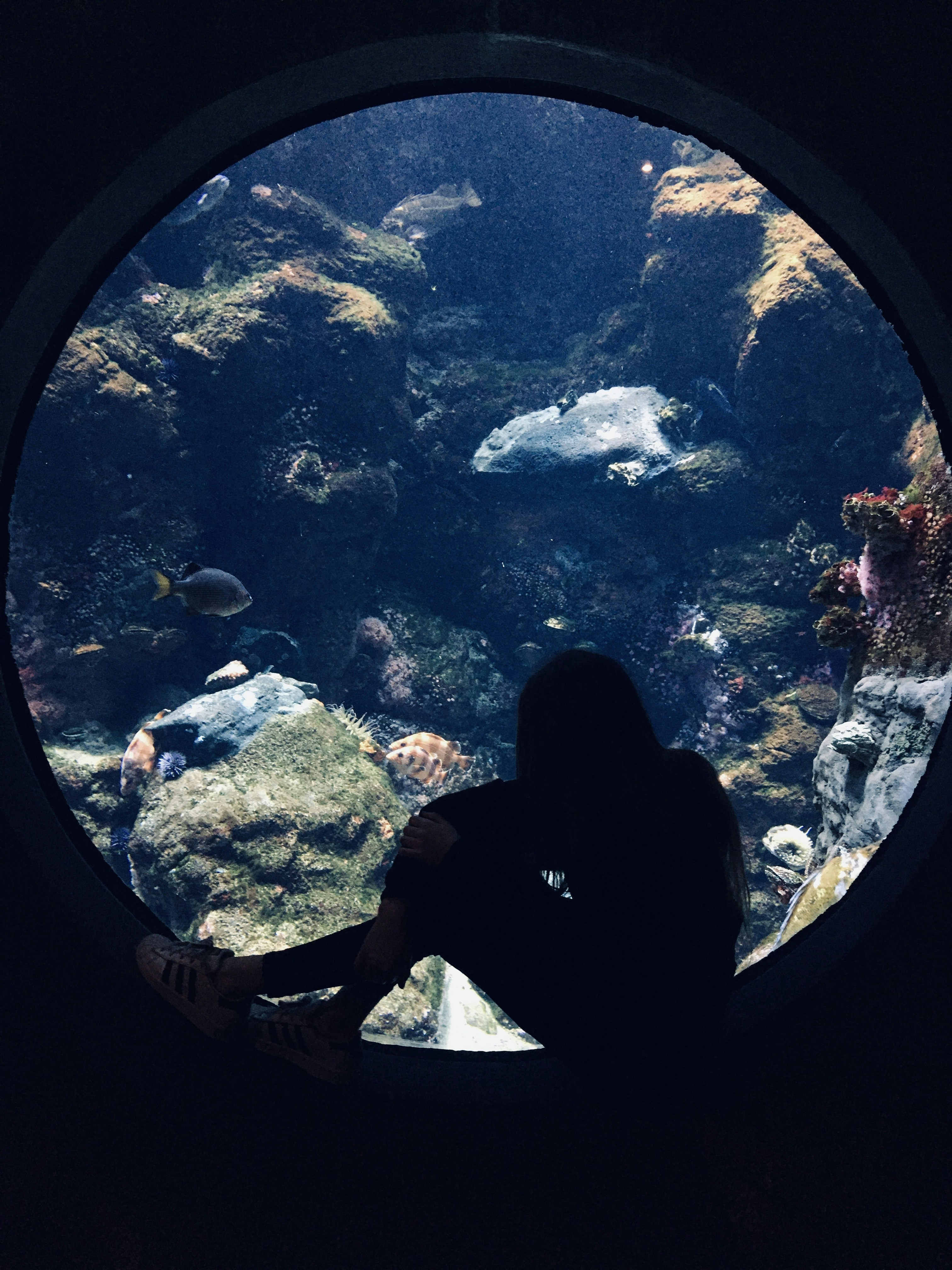 Photo by wrenschwartz