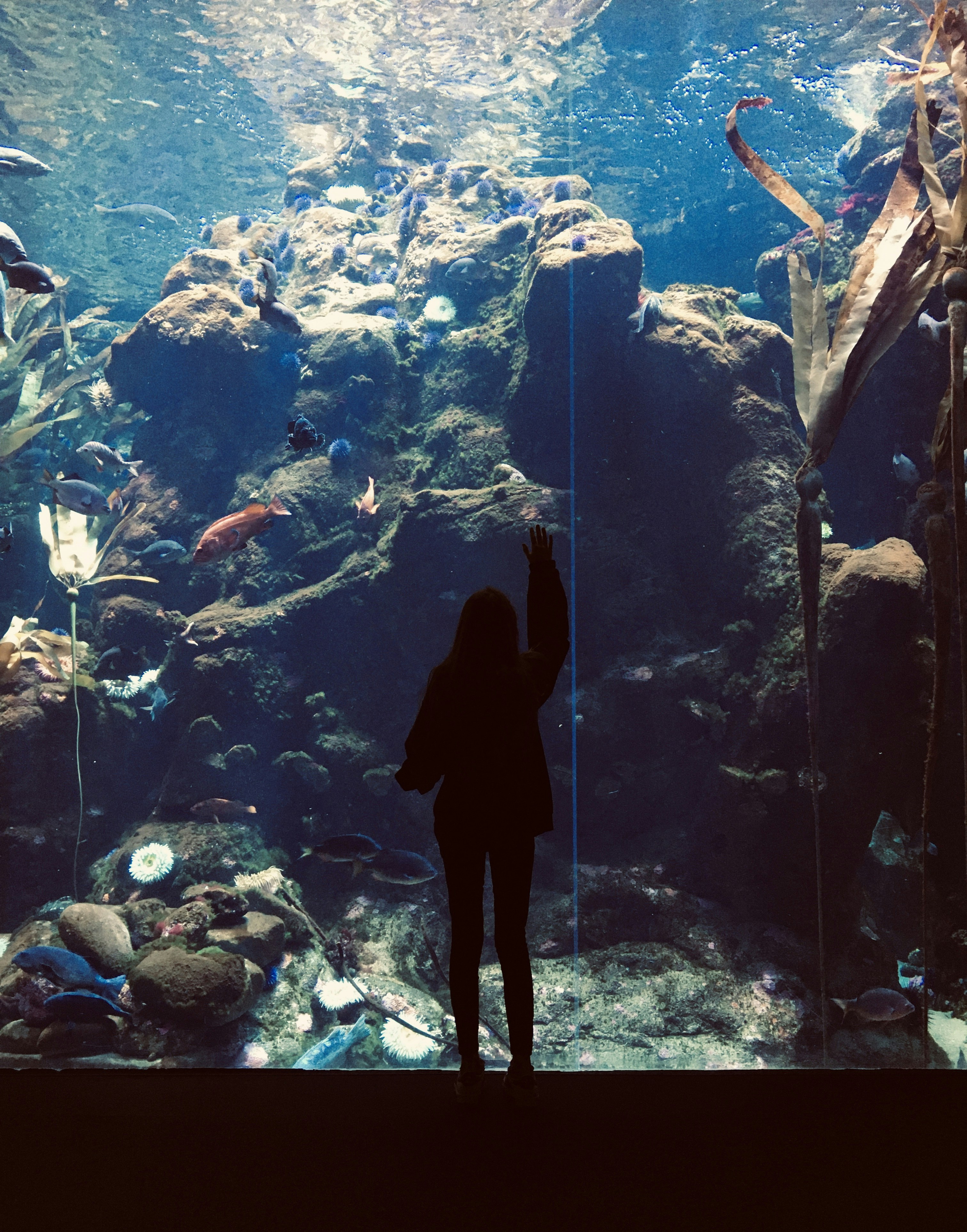 Photo by wrenschwartz