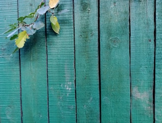 A green wooden fence with a rough texture is adorned with a small branch featuring green and yellow leaves.