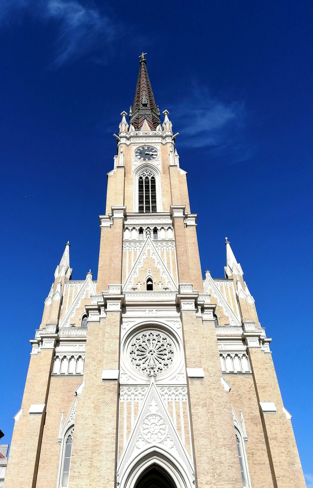 brown cathedral