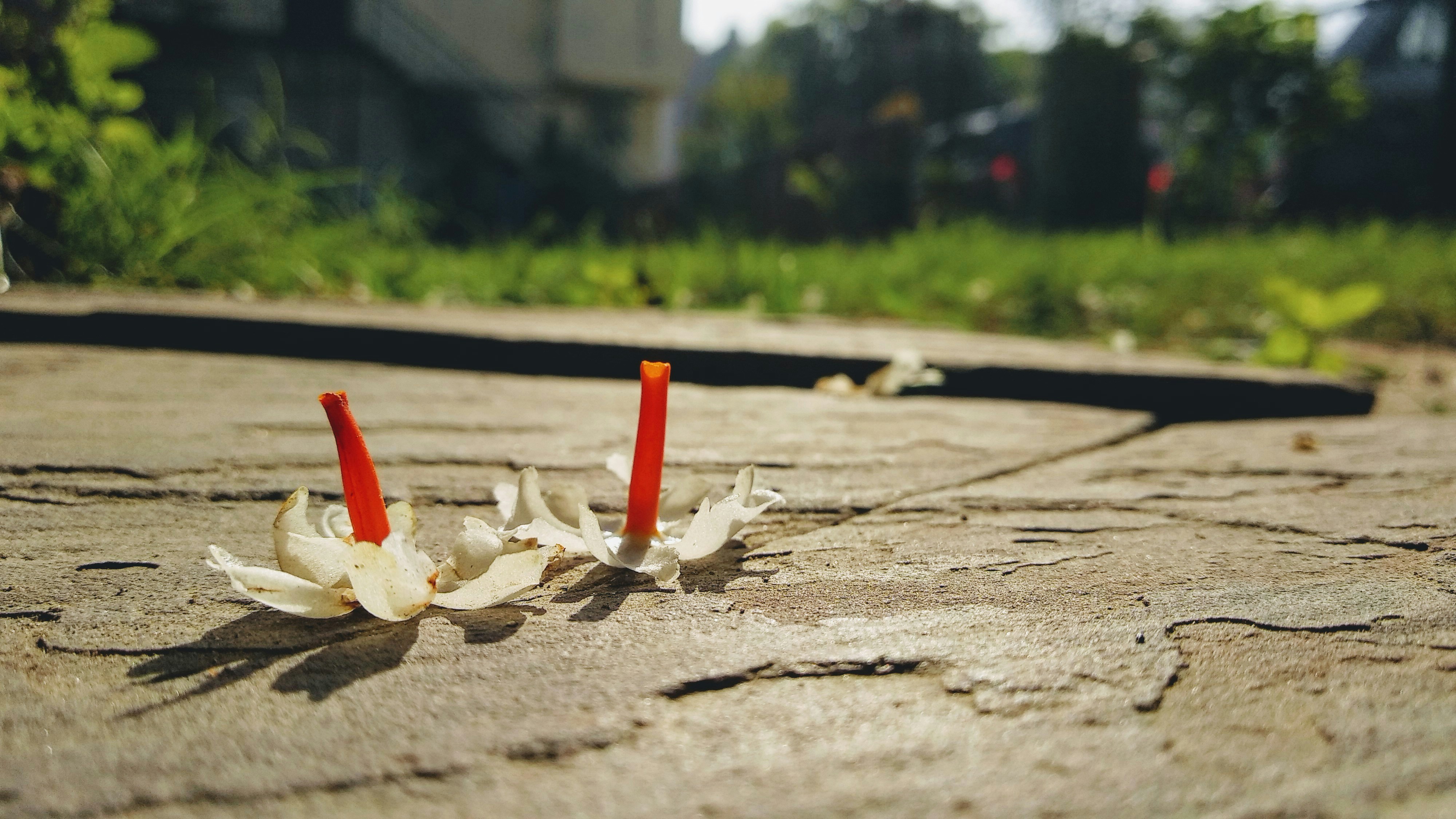 TaruF (@devbyteops) | Unsplash Photo Community