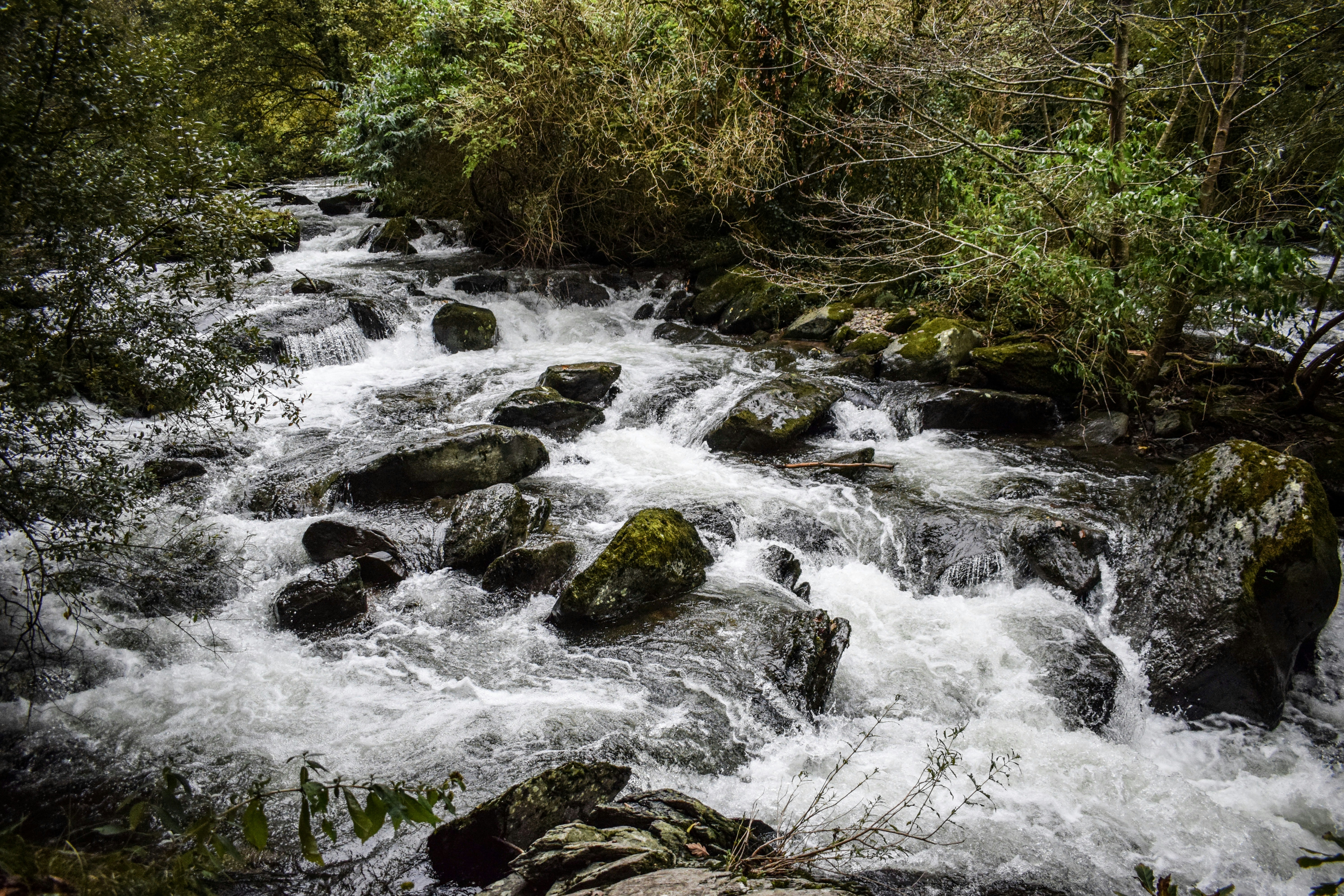 Photo by taylor_cowling_photos