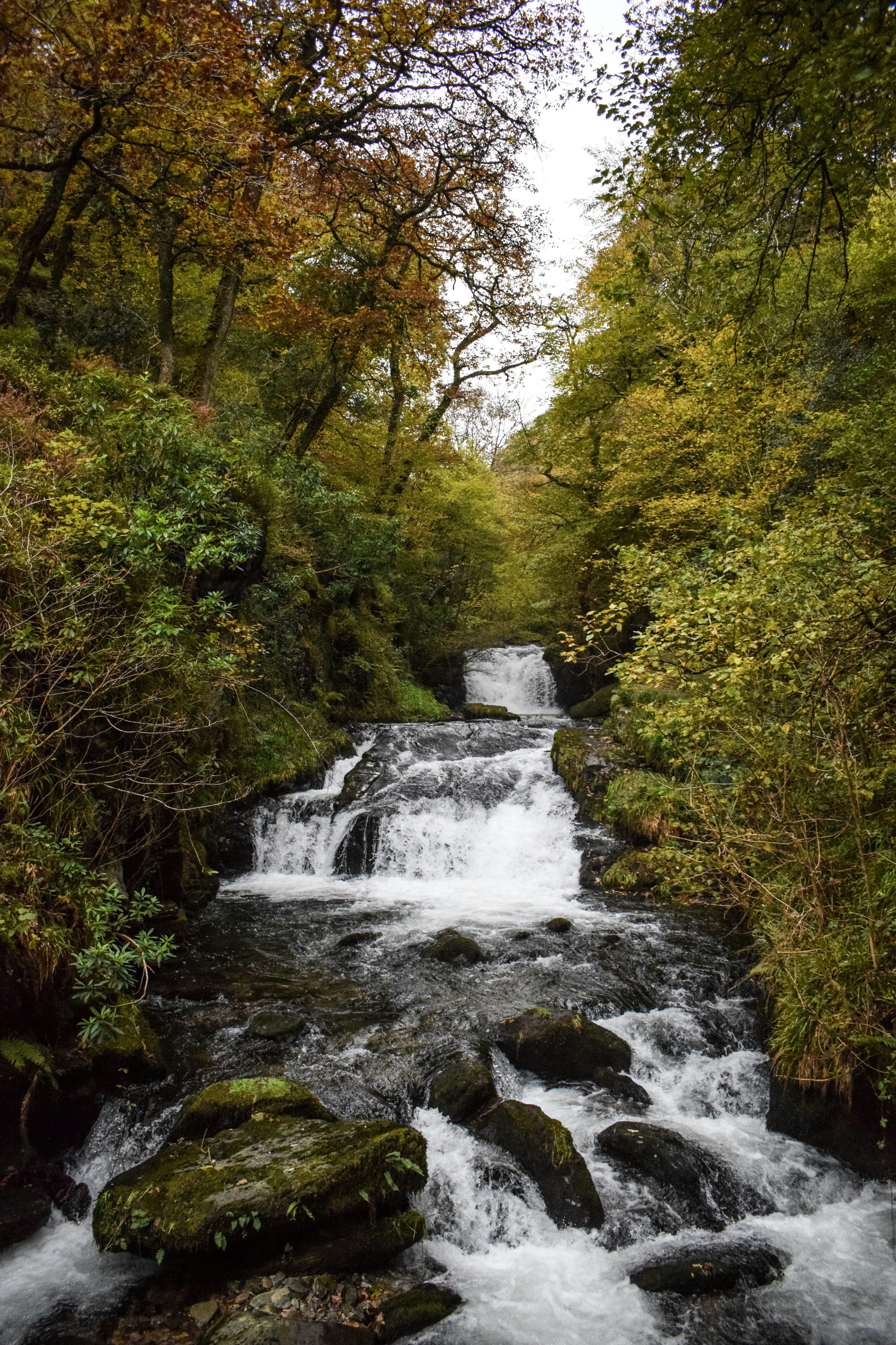 Photo by taylor_cowling_photos